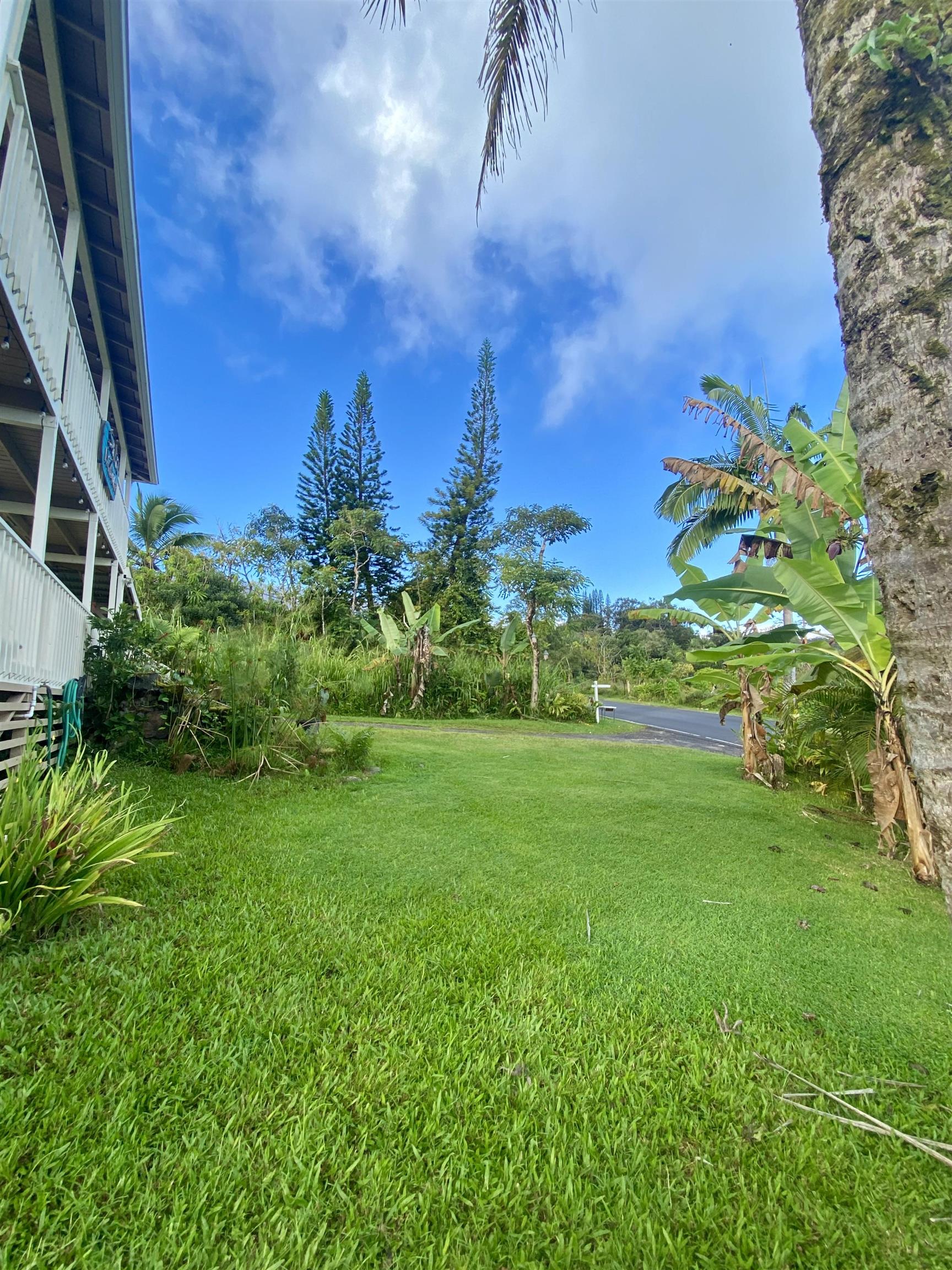 1130 Hana Hwy Property Photo 43