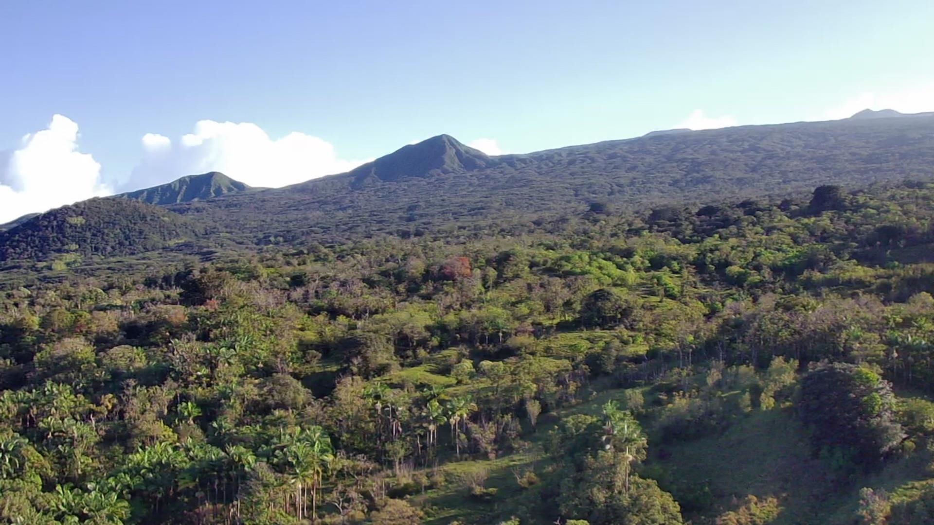 1130 Hana Hwy Property Photo 46