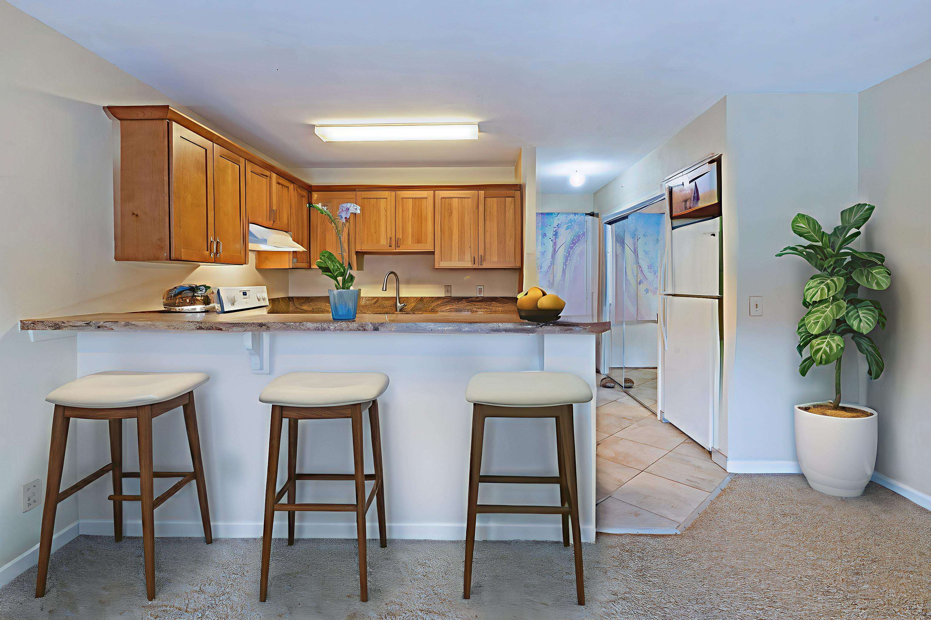 3740 Lower Honoapiilani Rd Property Photo 15
