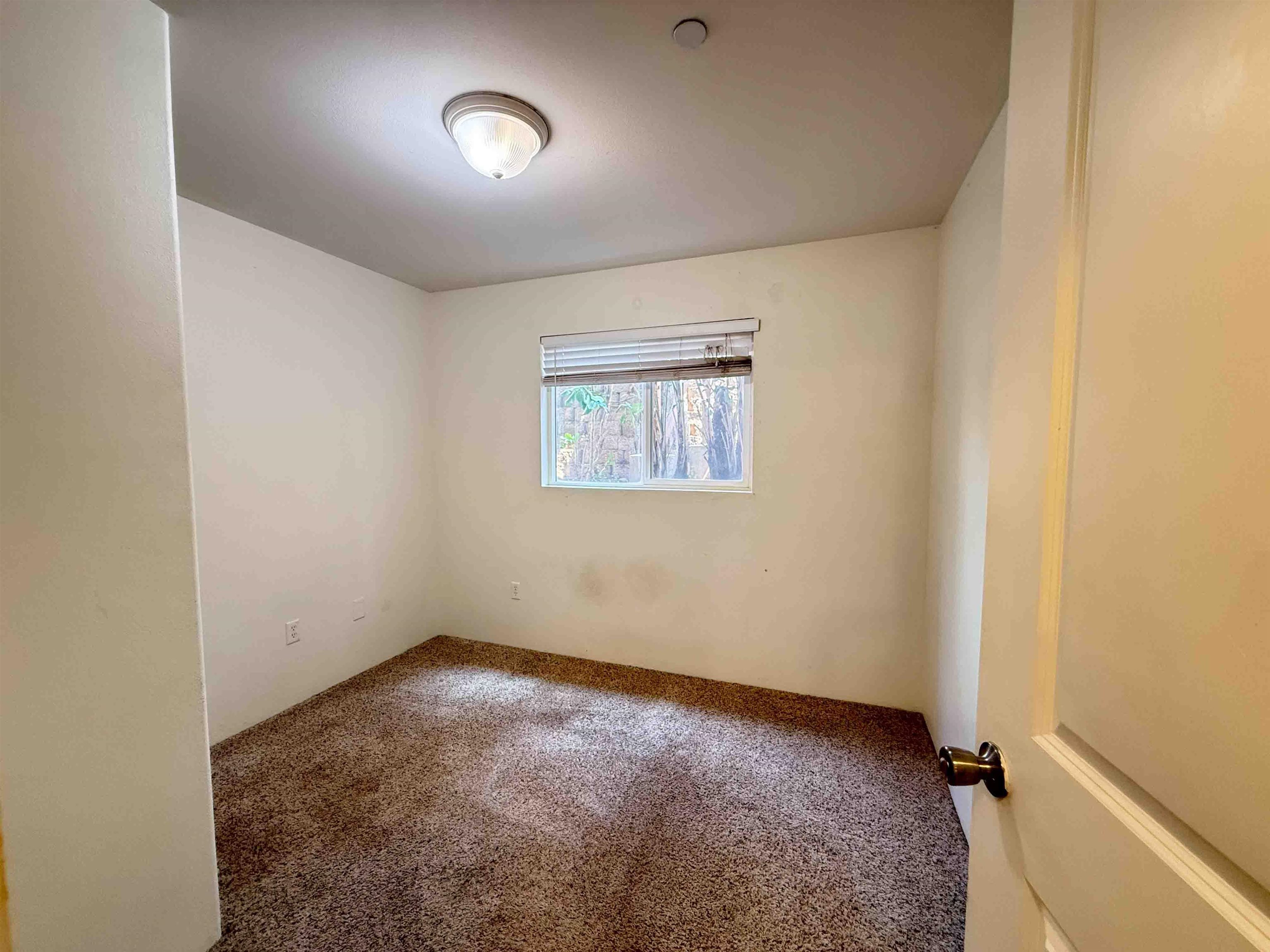 5 Abbey Ln Property Photo 14