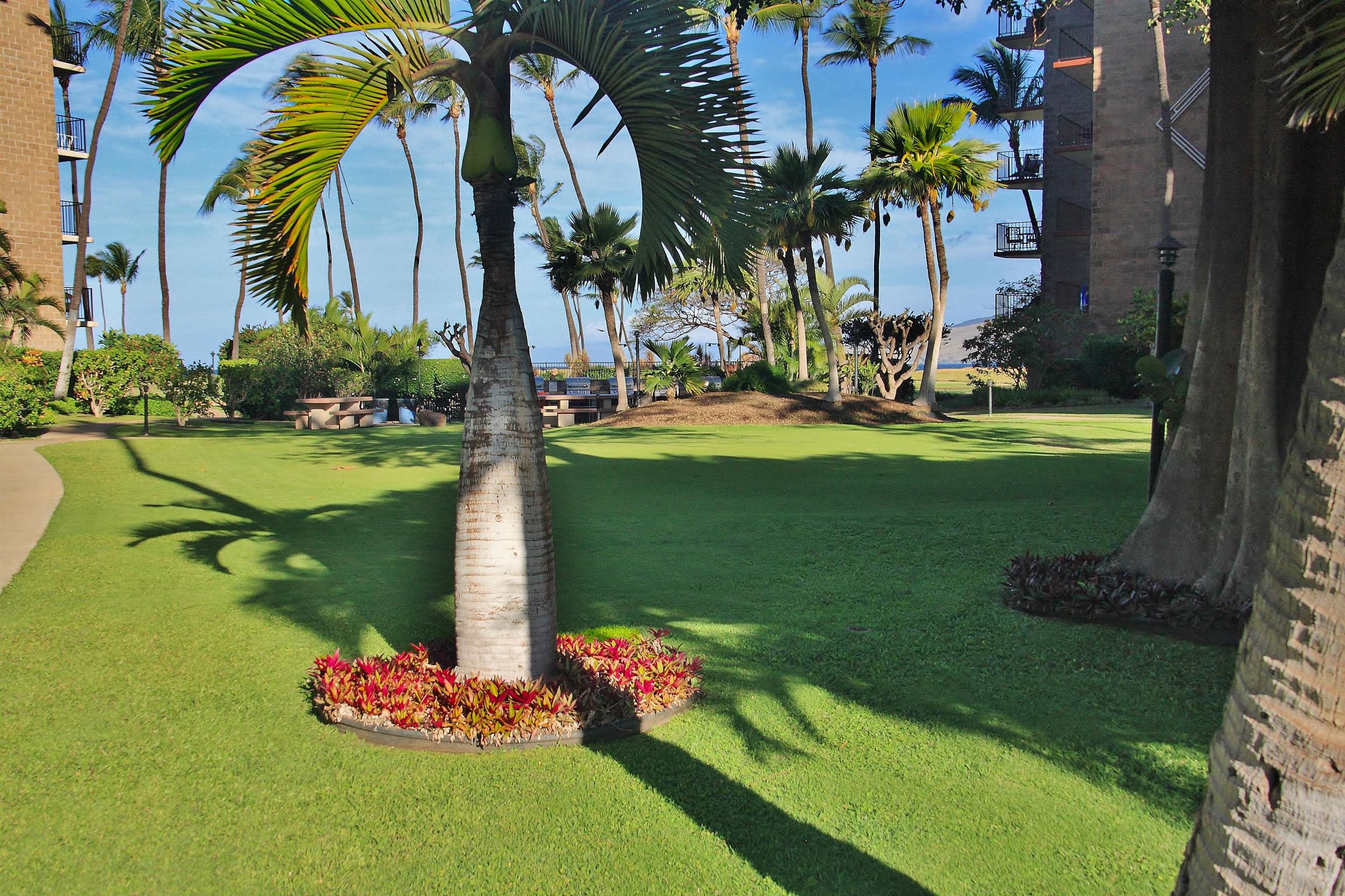 938 S Kihei Rd Property Photo 22
