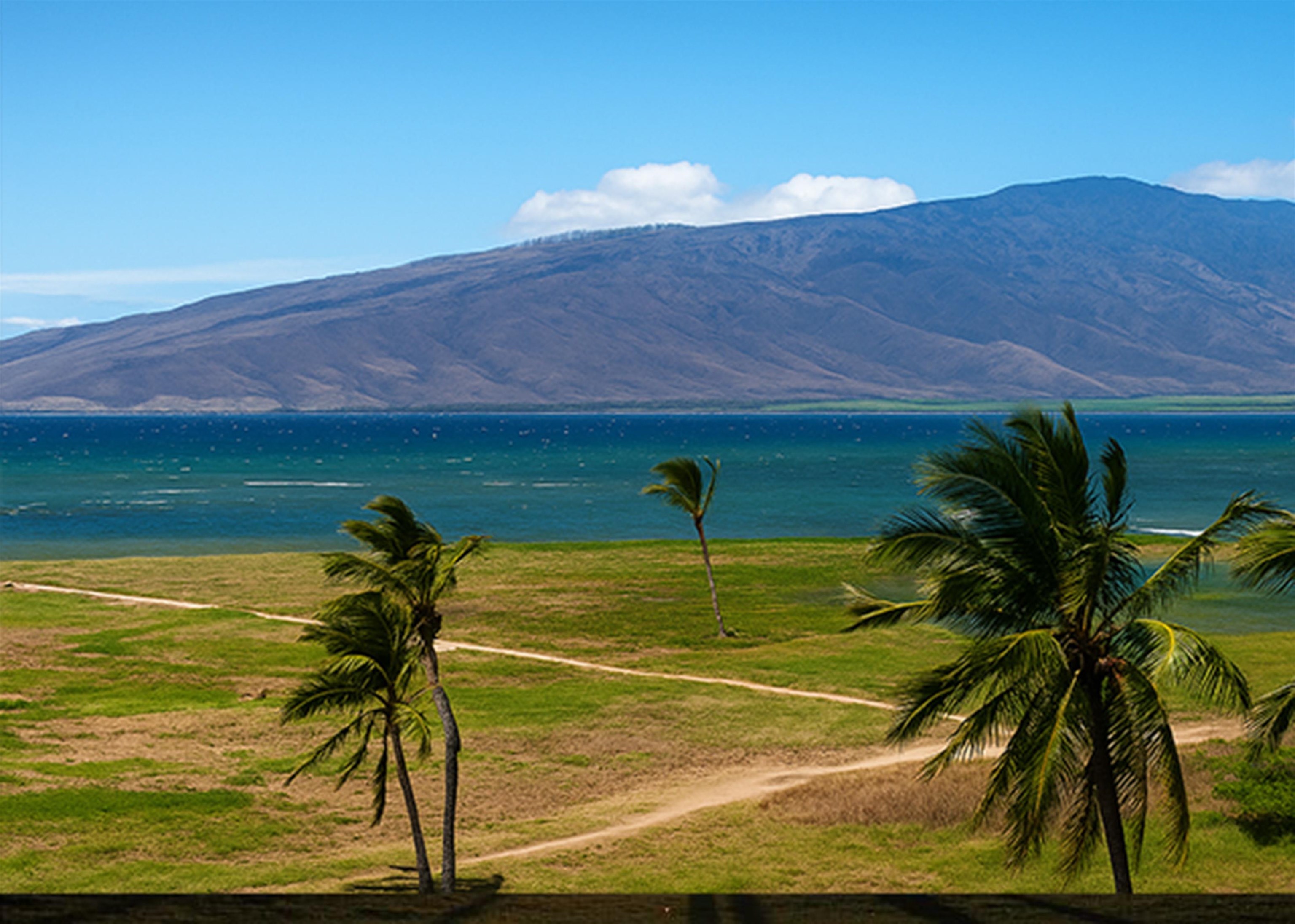 938 S Kihei Rd Property Photo 28