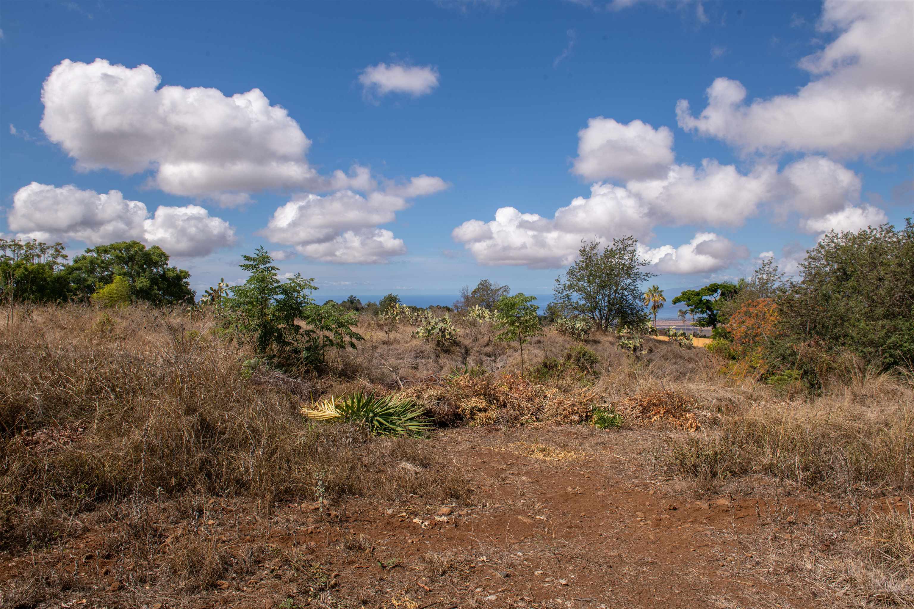 0 Holopuni Rd Property Photo 4