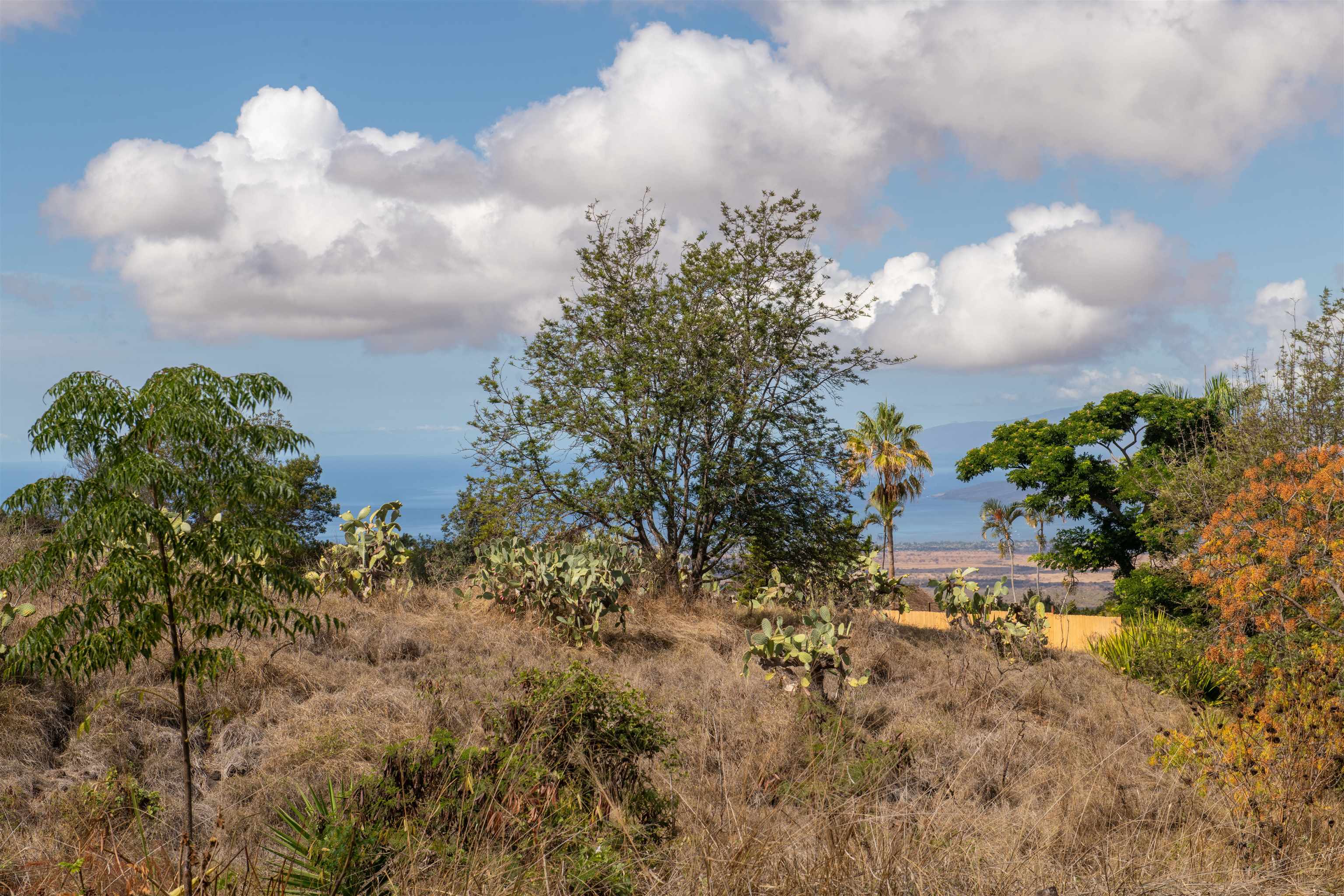 0 Holopuni Rd Property Photo 5