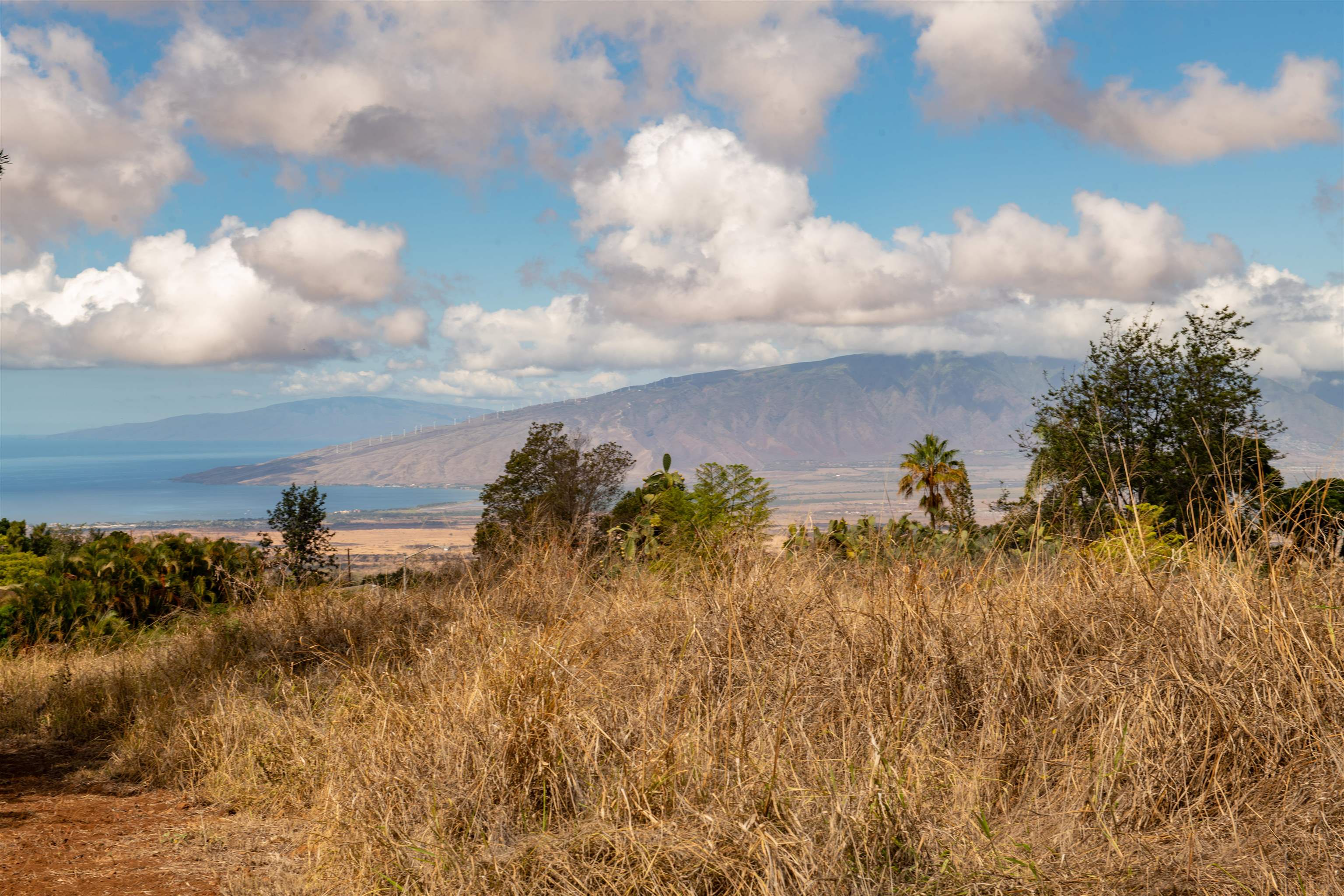 0 Holopuni Rd Property Photo 6