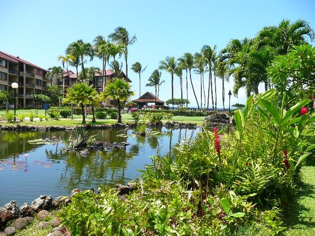 3543 Lower Honoapiilani Rd Property Photo 23
