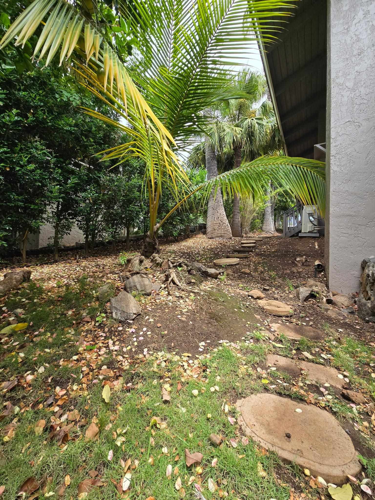 53 Waikai St Property Photo 48