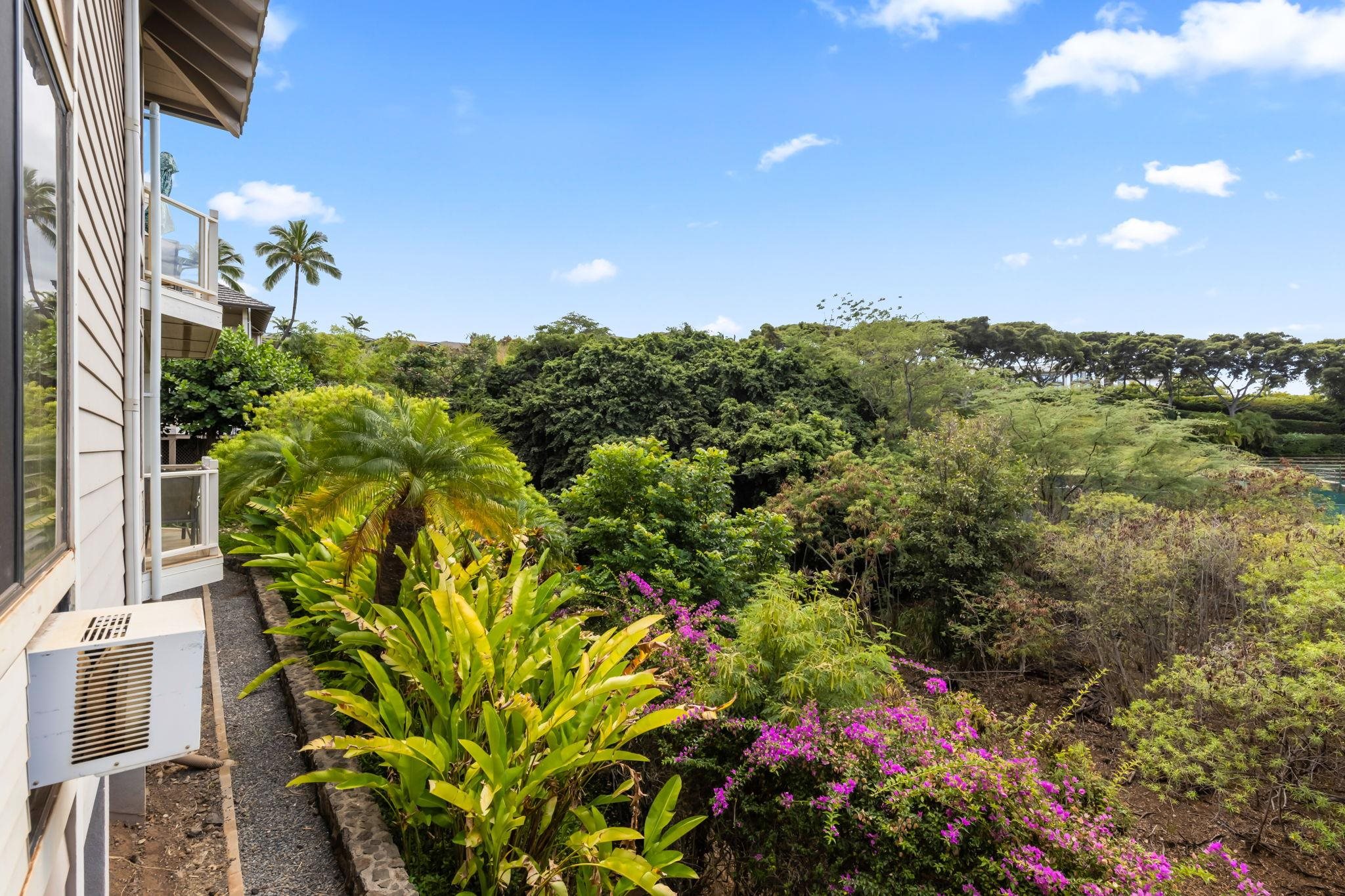 155 Wailea Ike Pl Property Photo 28