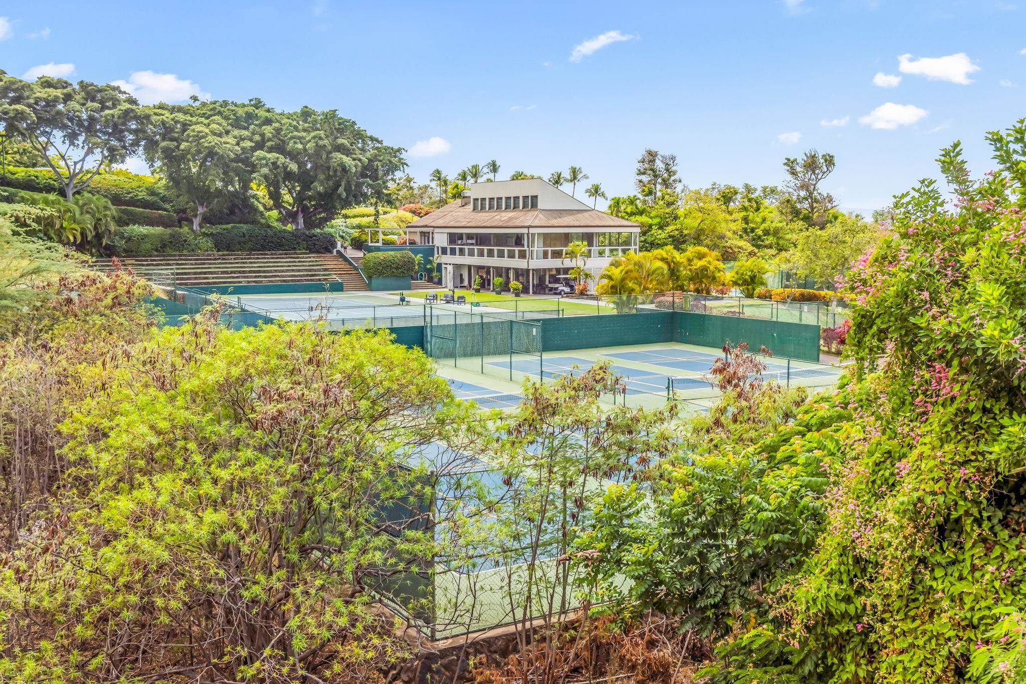 155 Wailea Ike Pl Property Photo 30