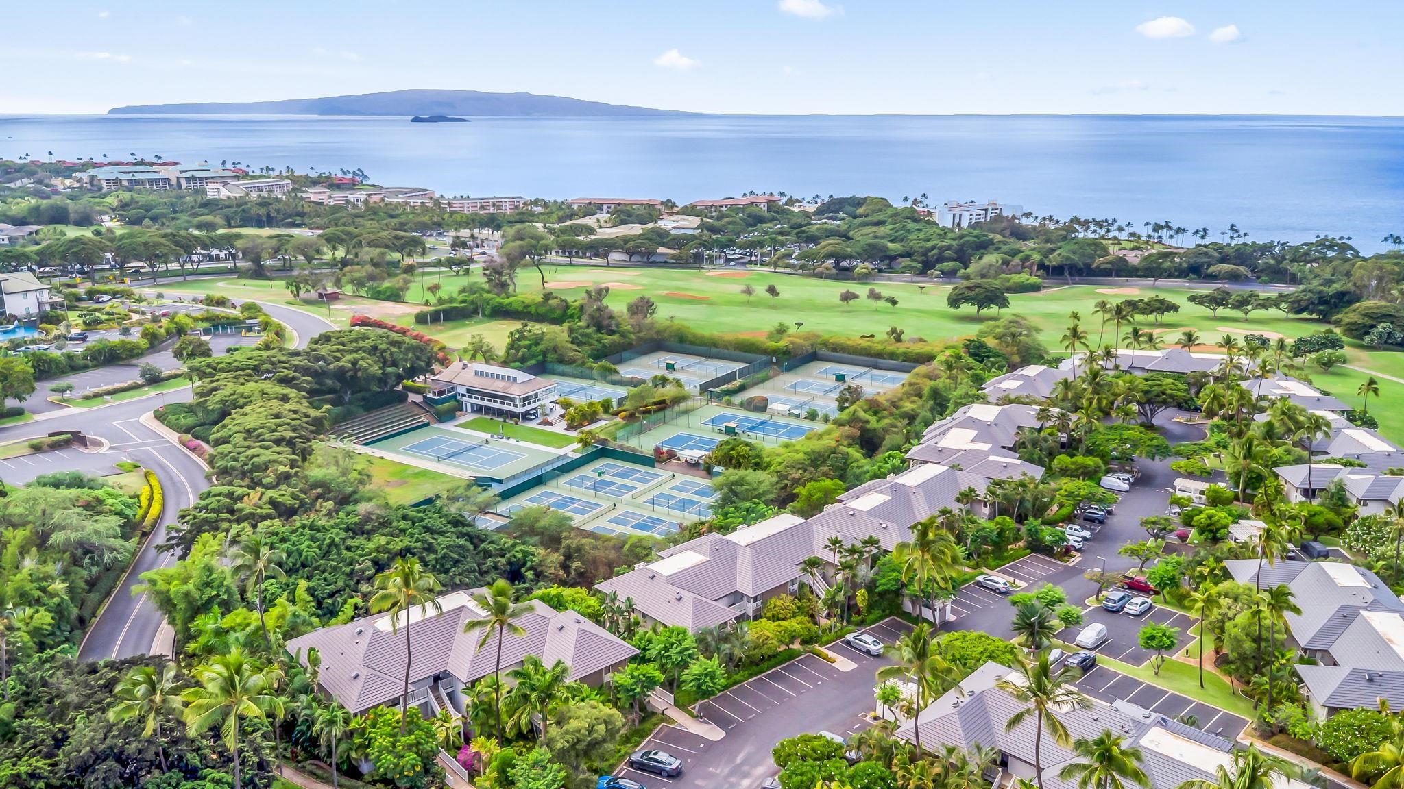155 Wailea Ike Pl Property Photo 31