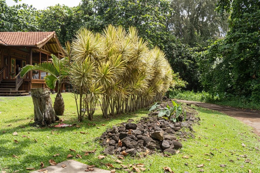 165 Waikoloa Rd Property Photo 46