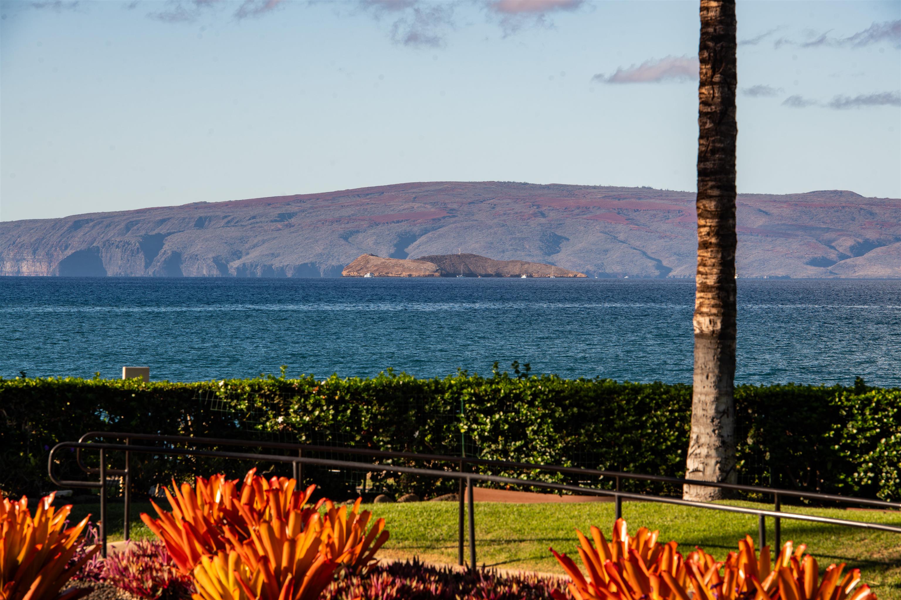 3800 Wailea Alanui Dr Property Photo 29