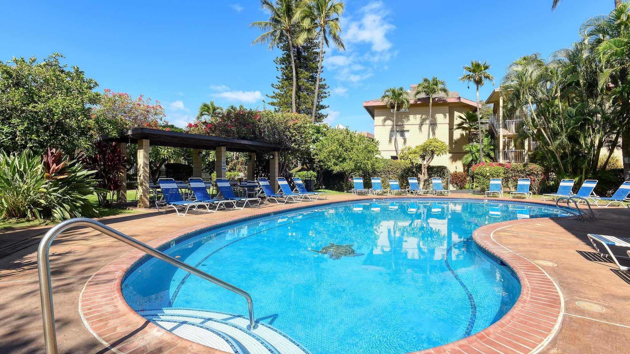 2619 S Kihei Rd Property Photo 4