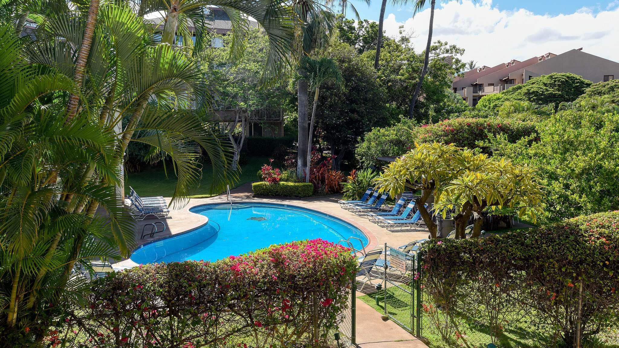 2619 S Kihei Rd Property Photo 24
