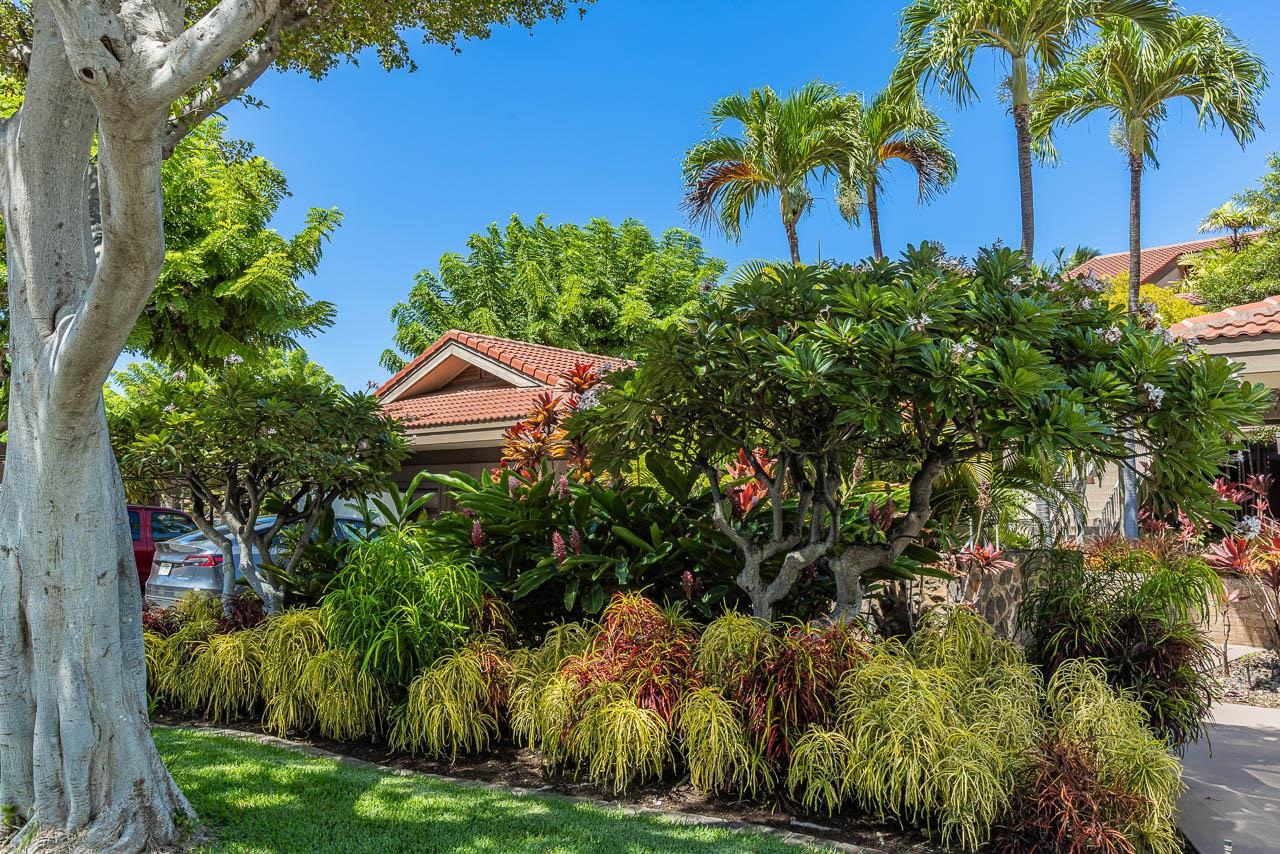 4000 Wailea Alanui Dr Property Photo 34
