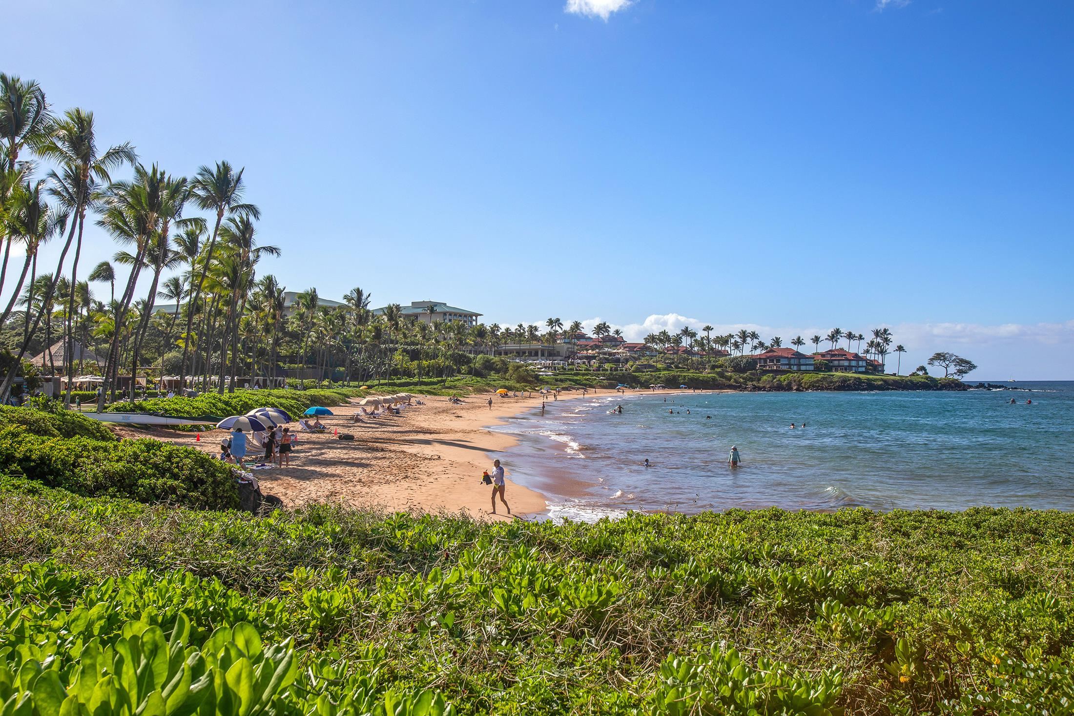 3800 Wailea Alanui Blvd Property Photo 31