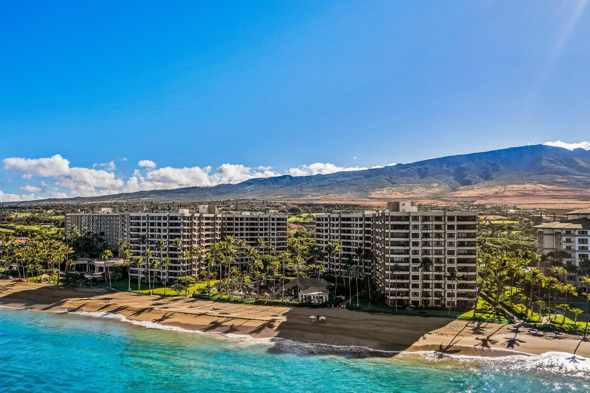 50 Nohea Kai Dr Property Photo 41