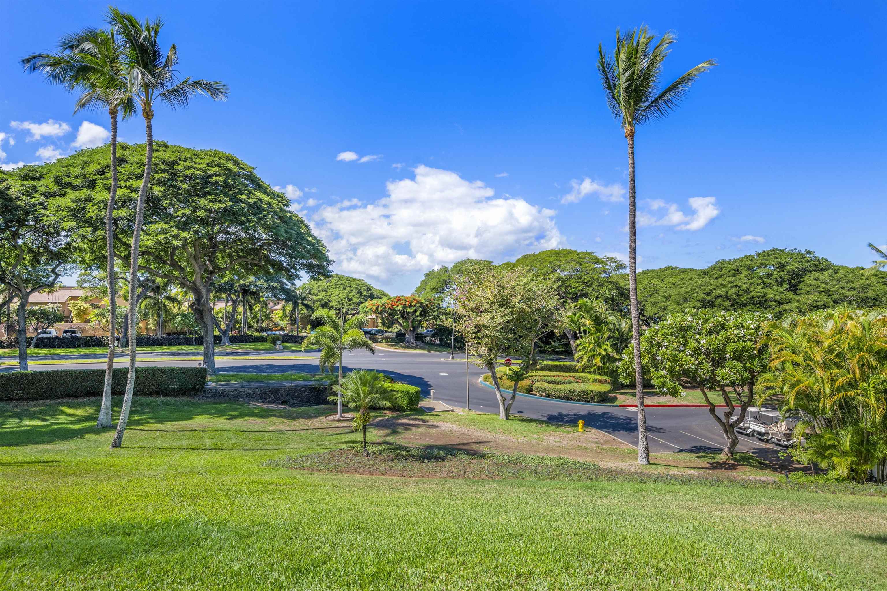 3200 Wailea Alanui Dr Property Photo 26