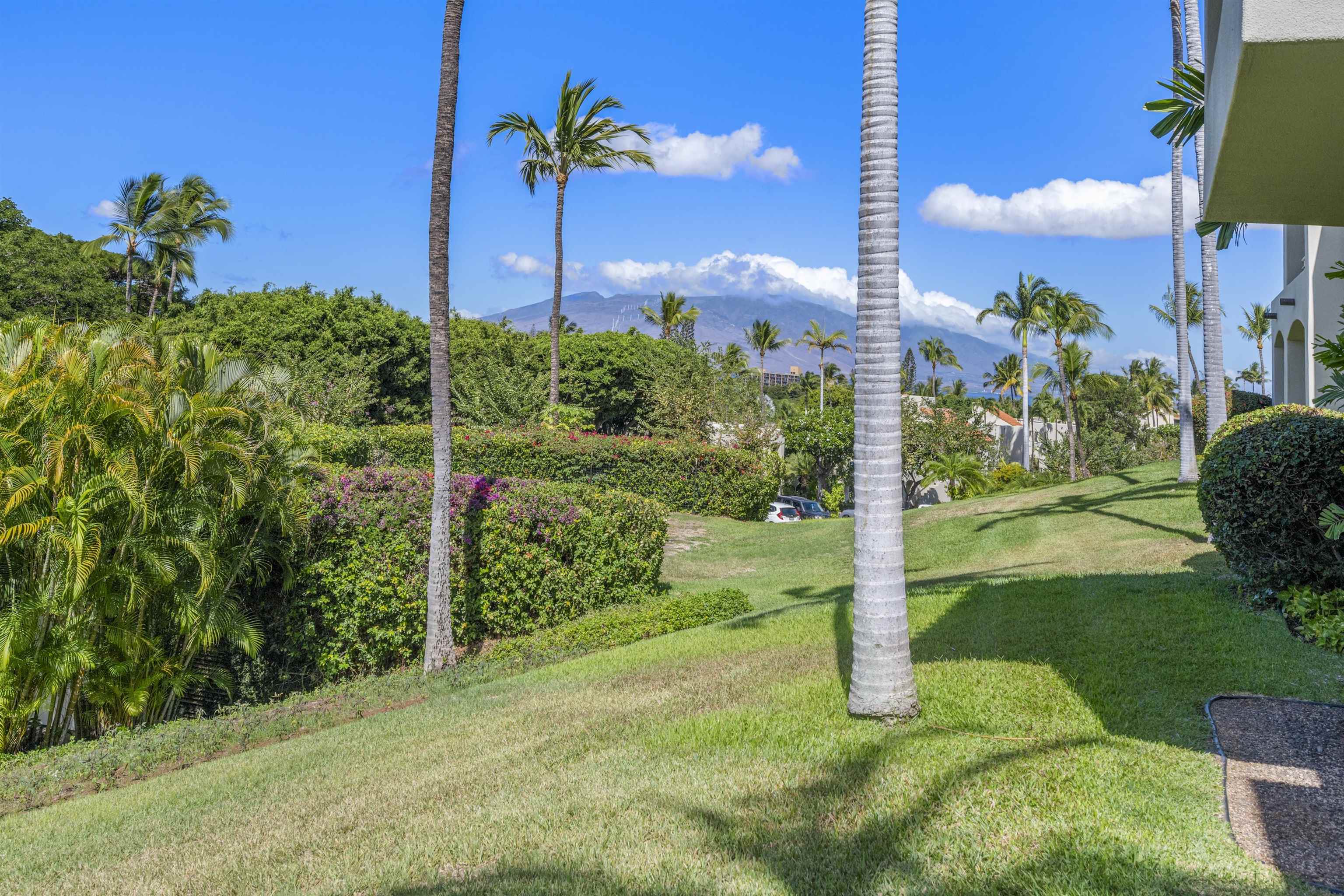 3200 Wailea Alanui Dr Property Photo 27