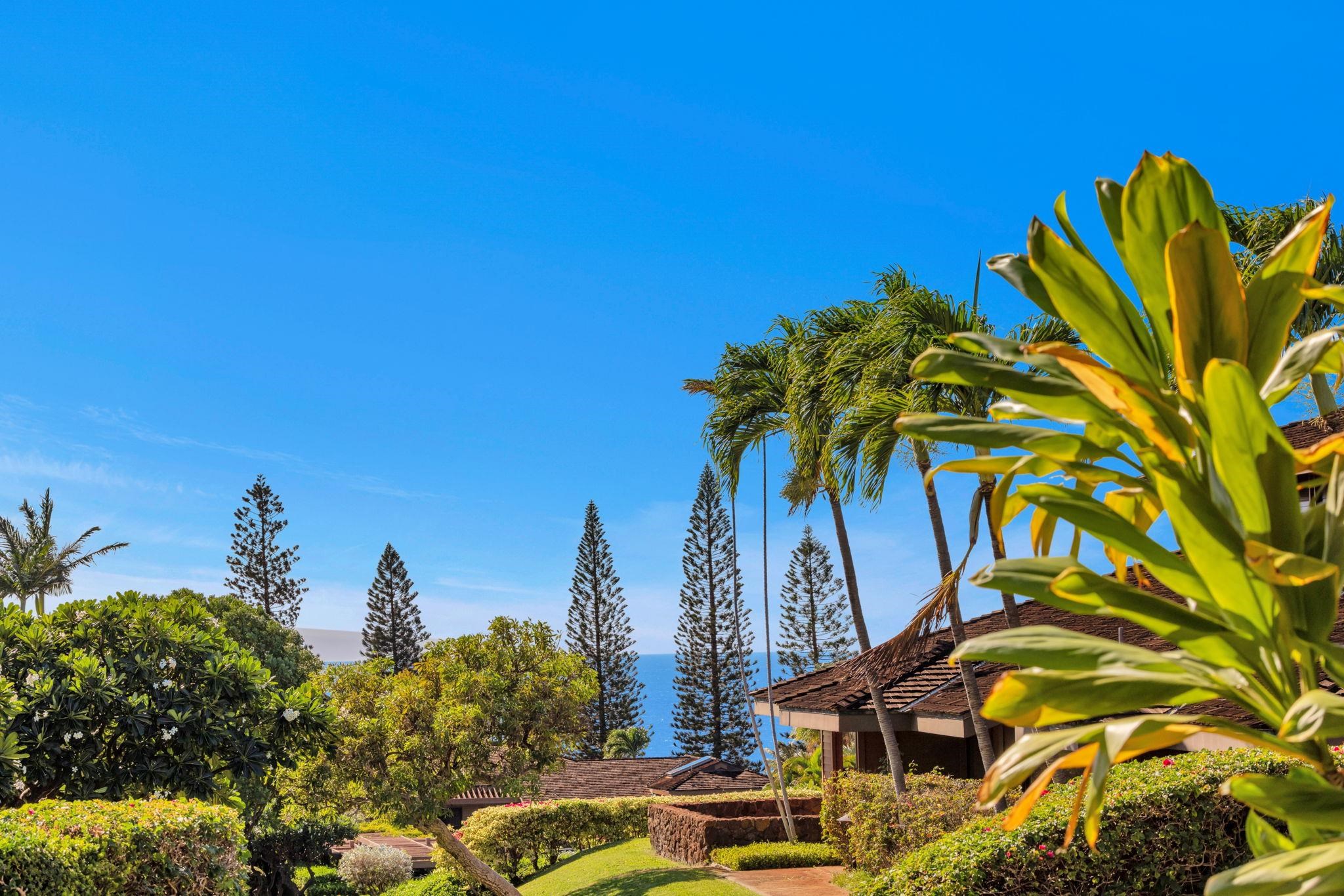 50 Puu Anoano St Property Photo 14