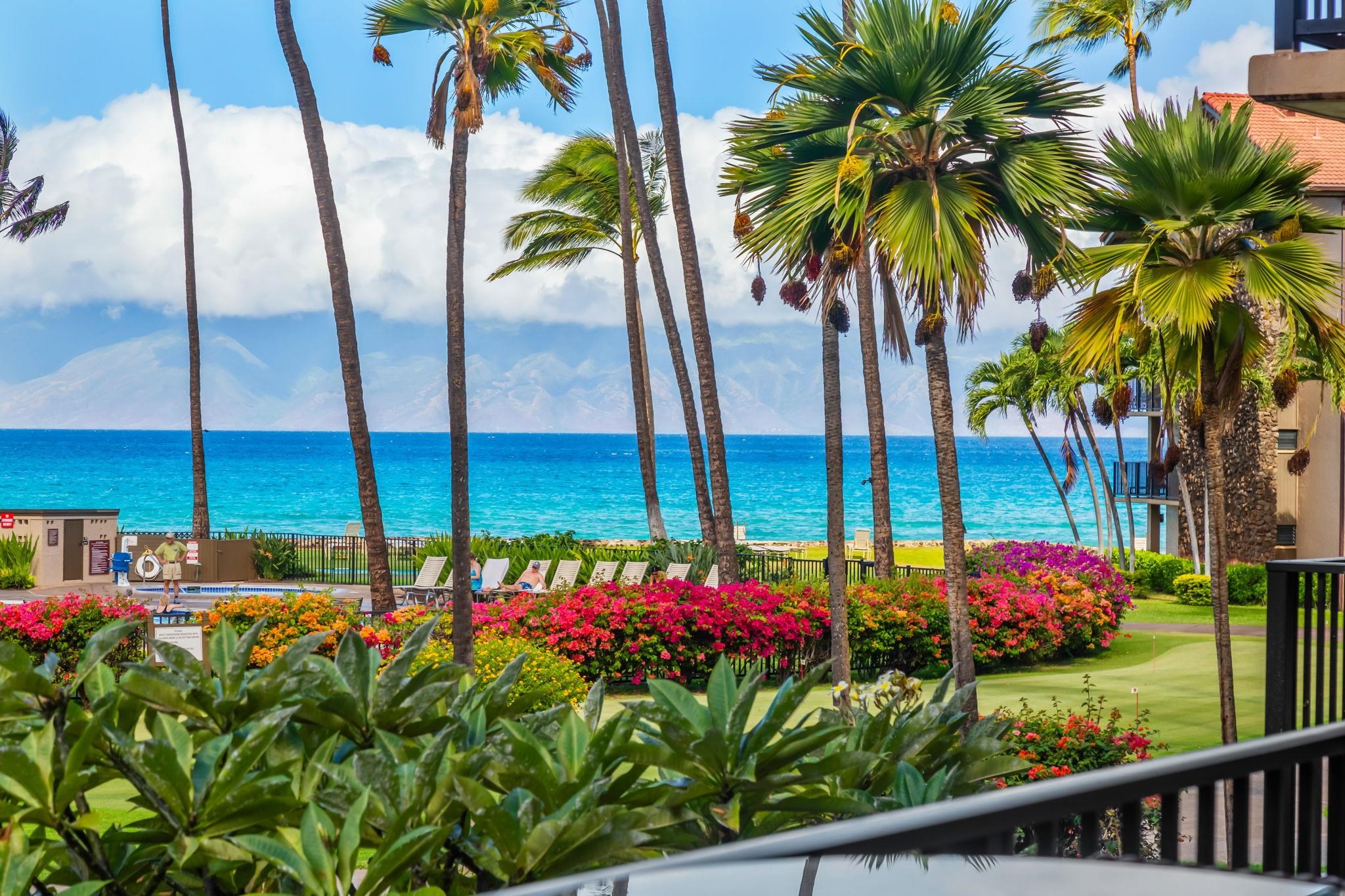 3543 Lower Honoapiilani Rd Property Photo 1