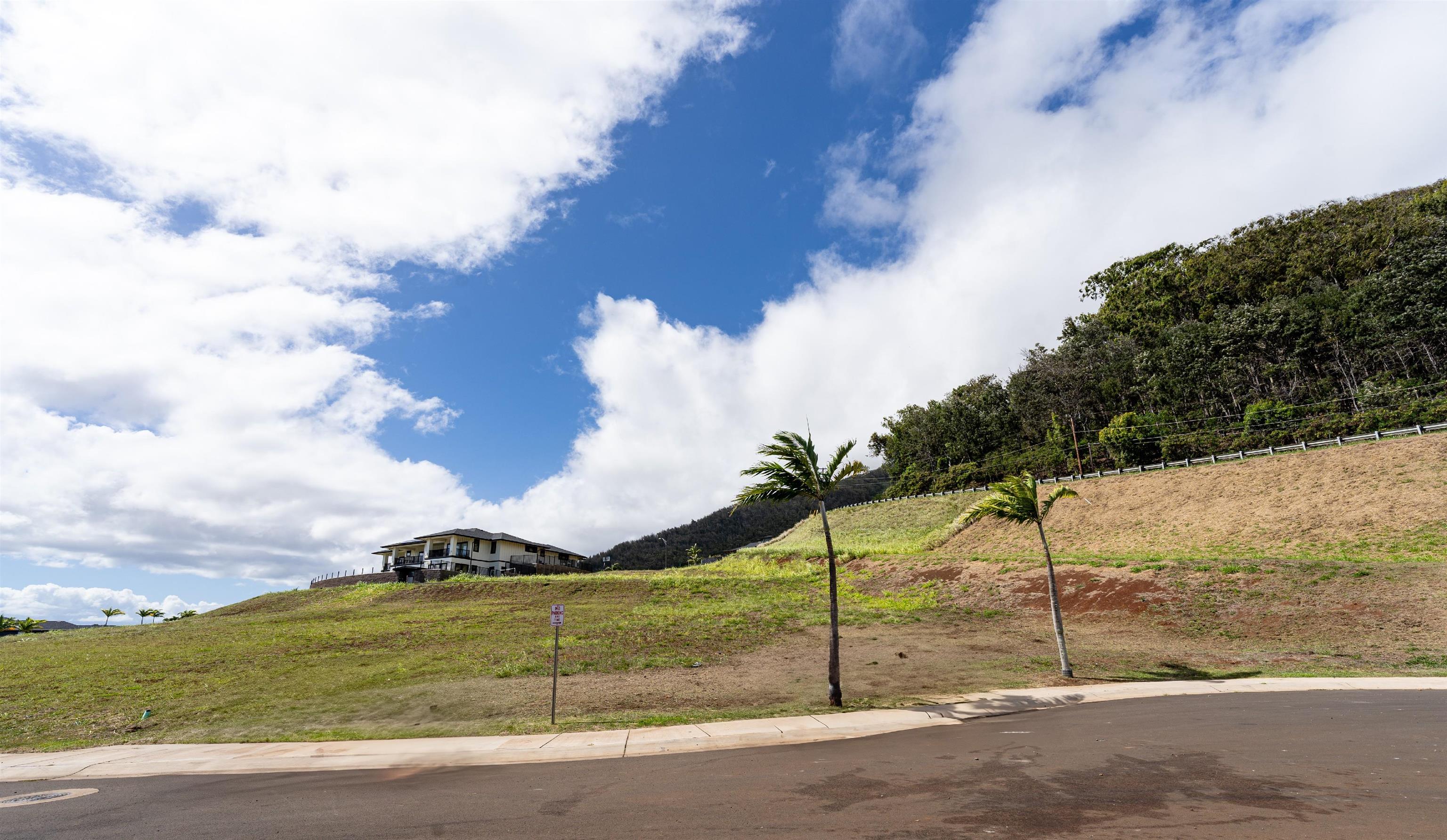 20 N Laikeha Pl Property Photo 5