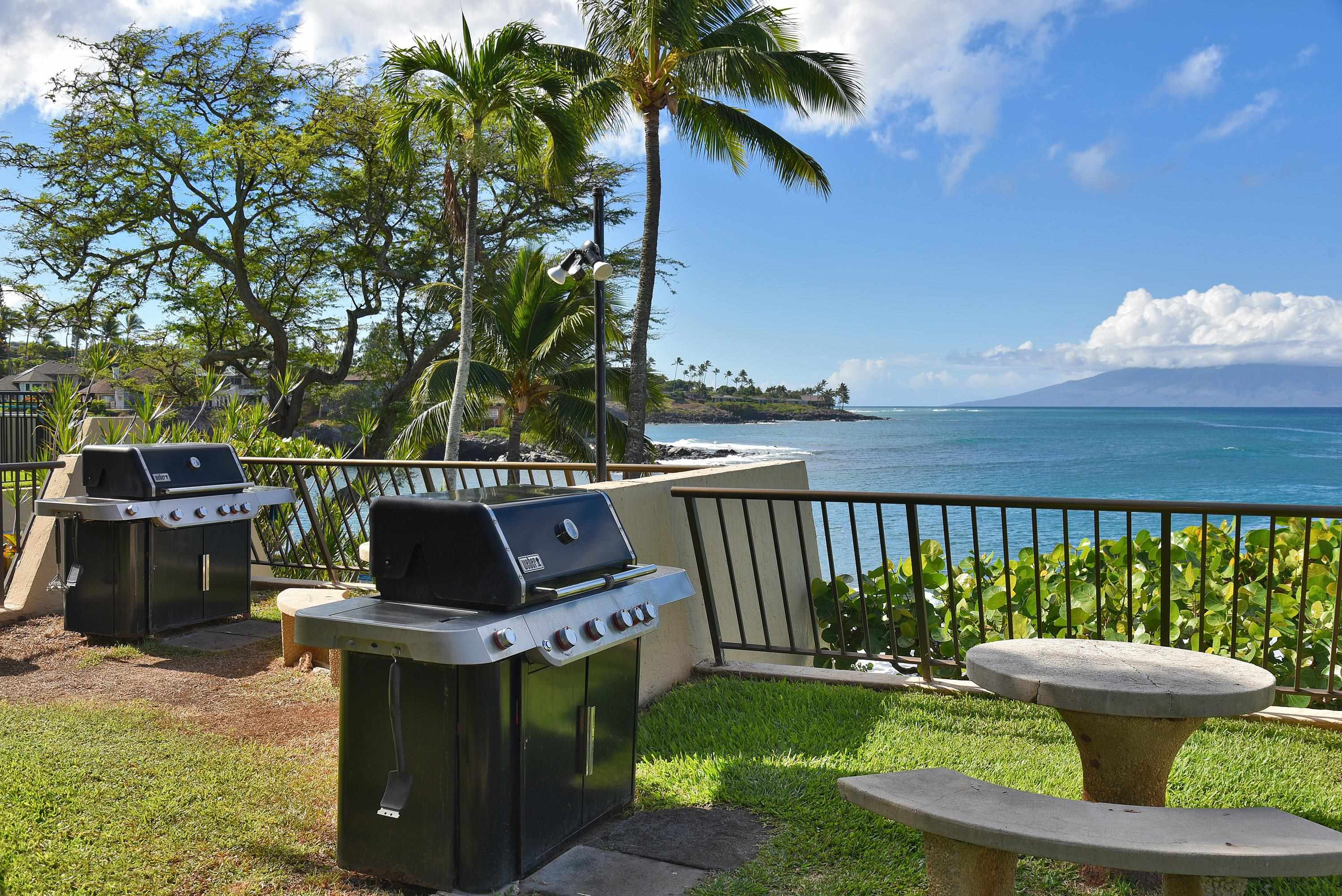 5295 Lower Honoapiilani Road Rd Property Photo 38