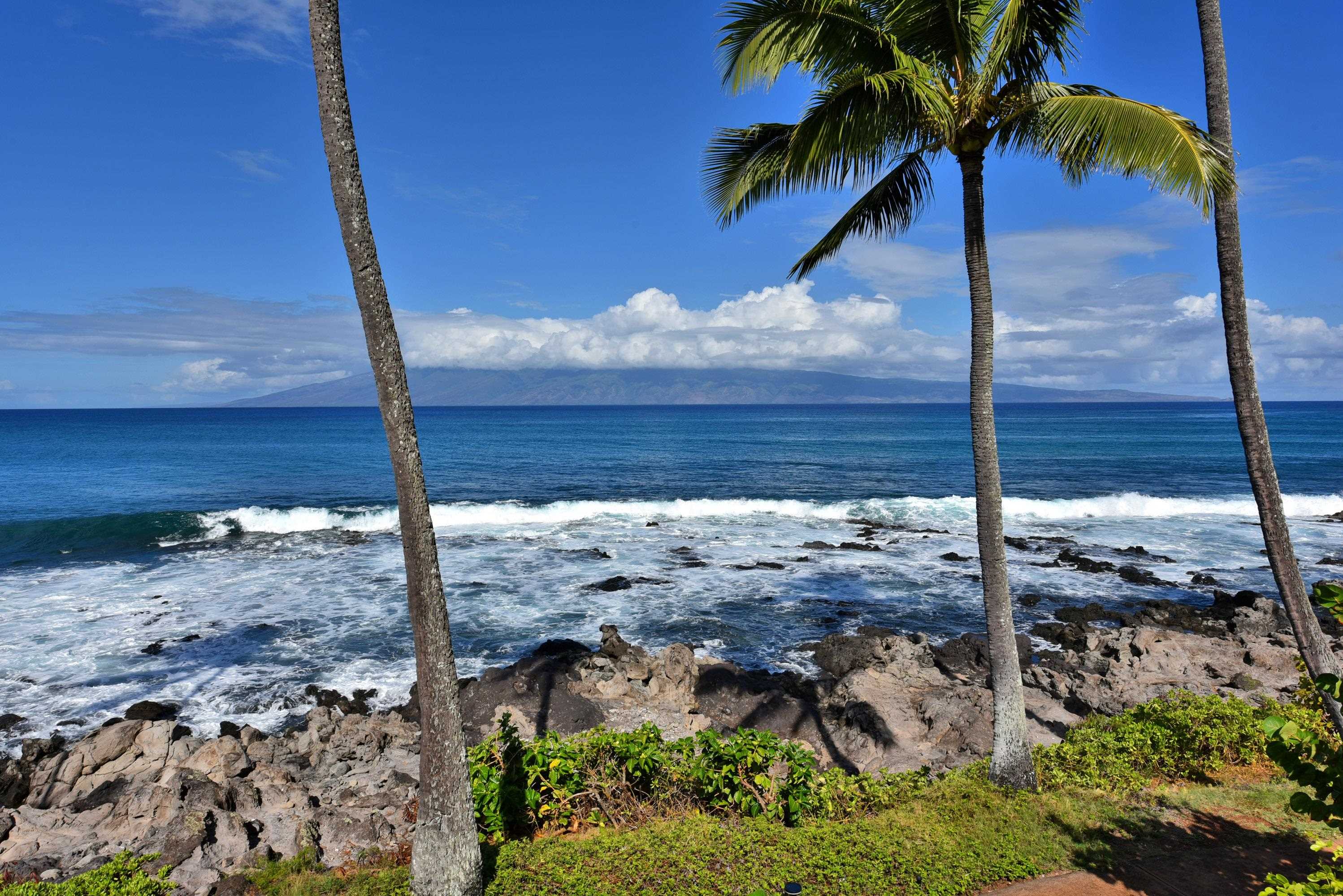 5295 Lower Honoapiilani Road Rd Property Photo 39