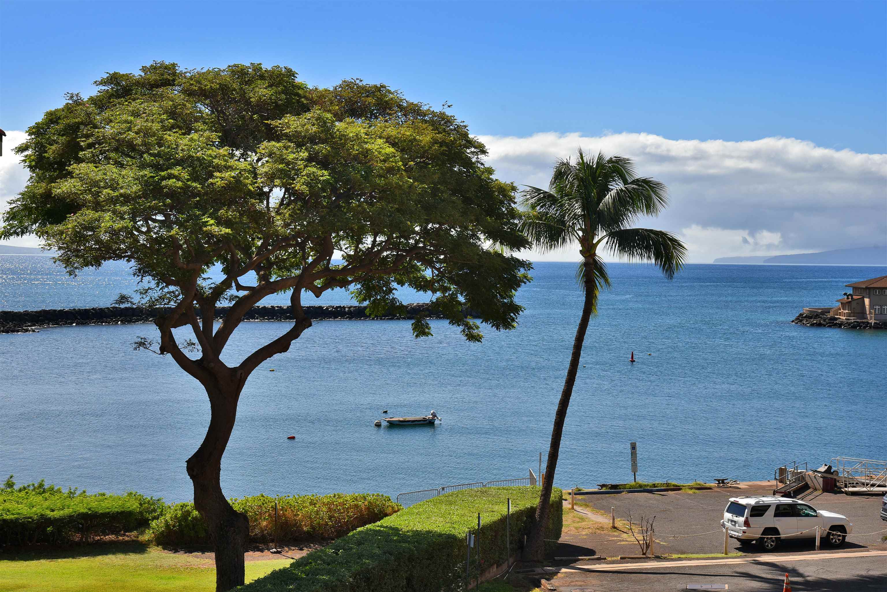 20 HAUOLI St Property Photo 1