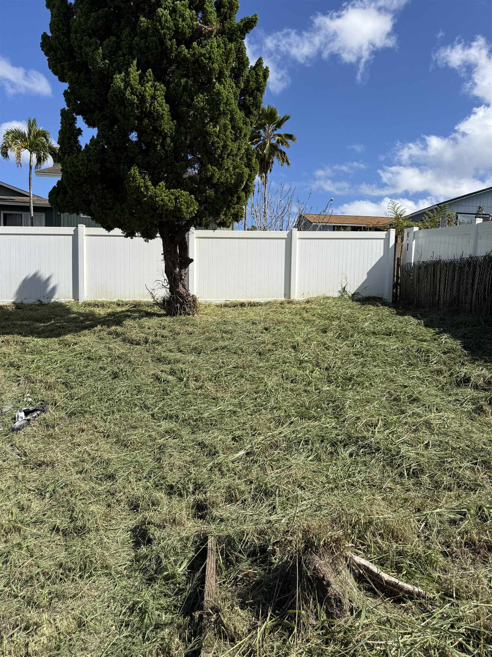 2839 Iwalani St Property Photo 8