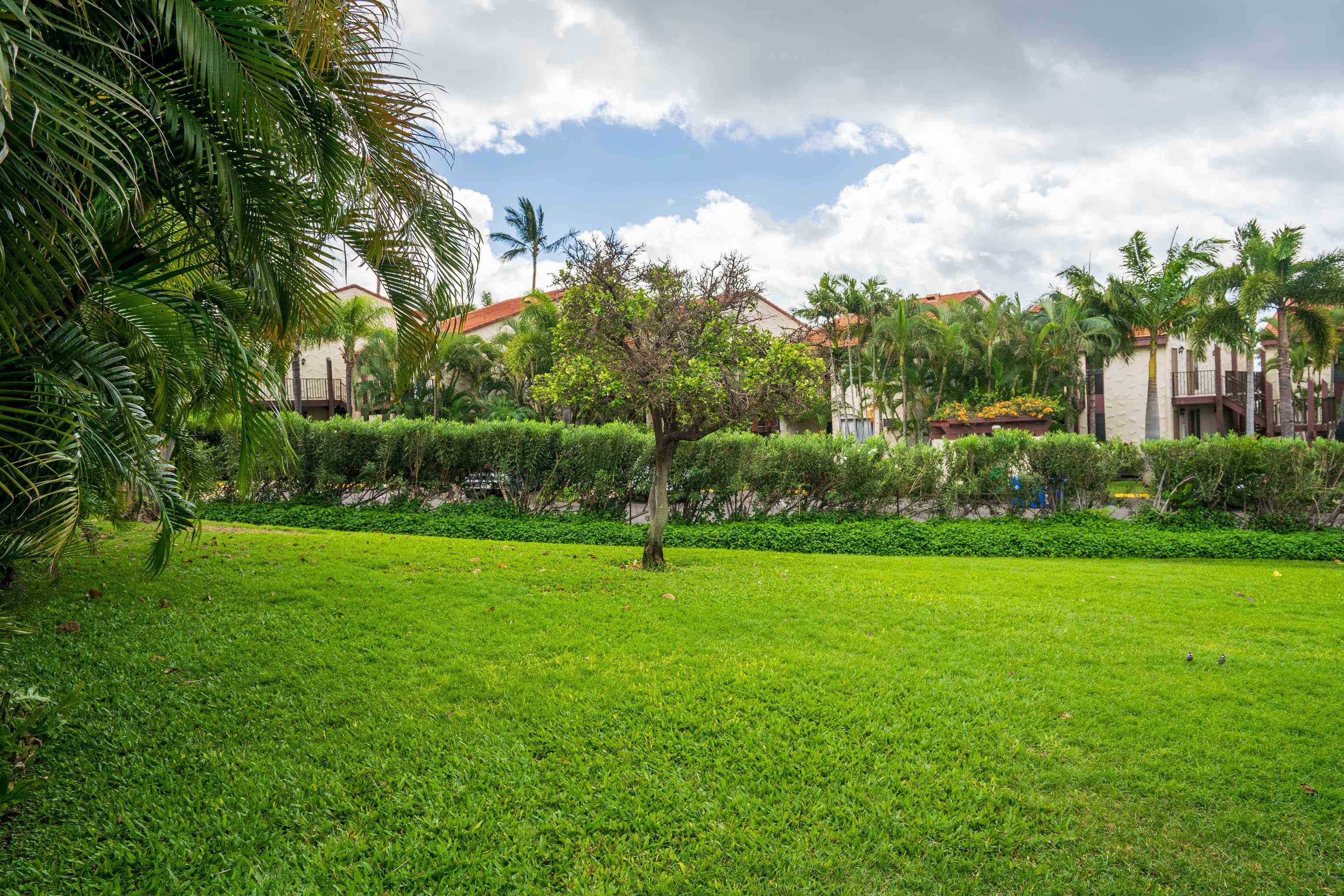 2777 S Kihei Rd Property Photo 22