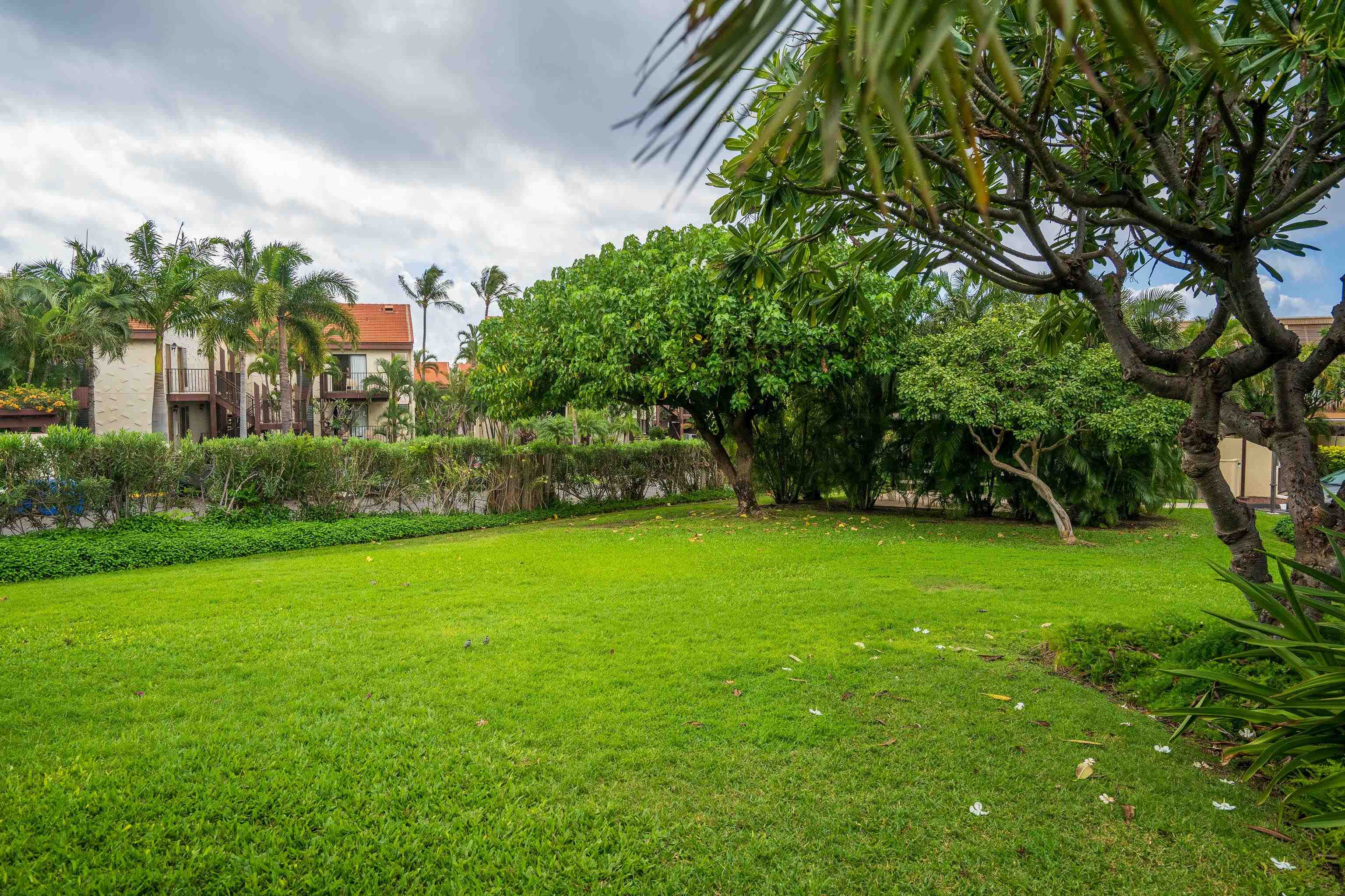 2777 S Kihei Rd Property Photo 23
