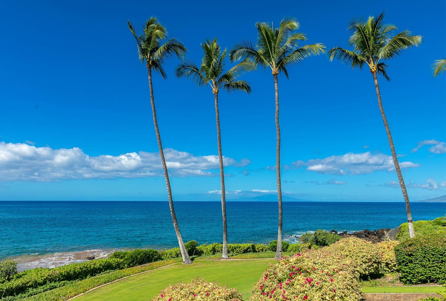 4000 Wailea Alanui Dr Property Photo 3