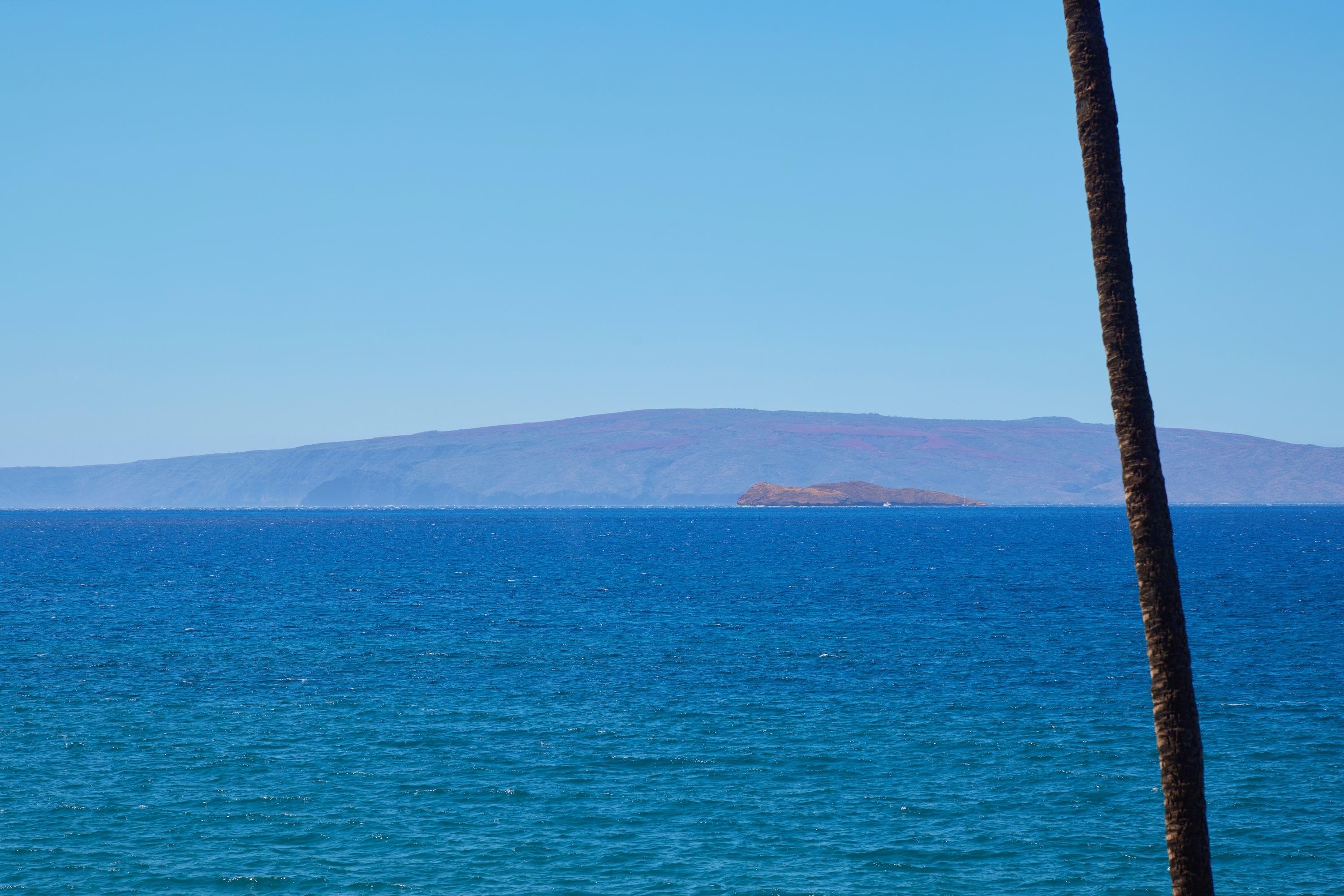 4000 Wailea Alanui Dr Property Photo 13
