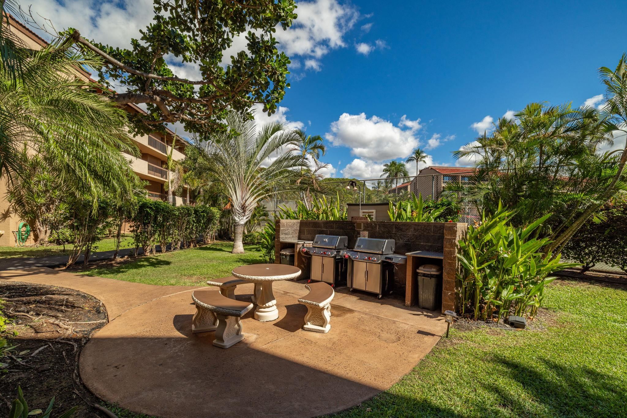 2191 S Kihei Rd Property Photo 27