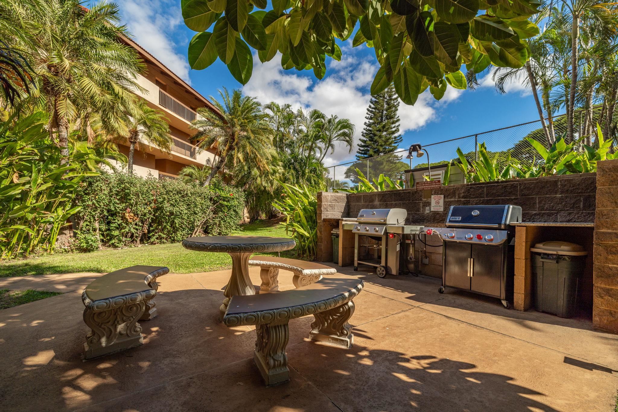 2191 S Kihei Rd Property Photo 28