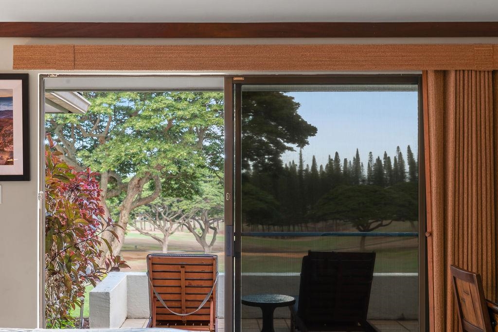 500 Kapalua Dr Property Photo 15