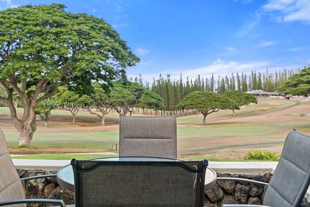 500 Kapalua Dr Property Photo 20