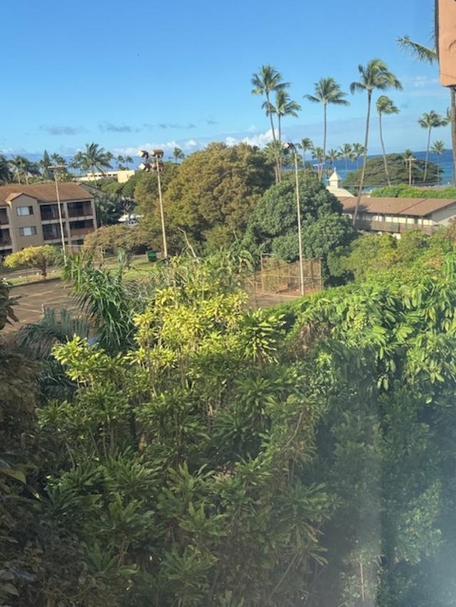 3676 Lower Honoapiilani Rd Property Photo 15