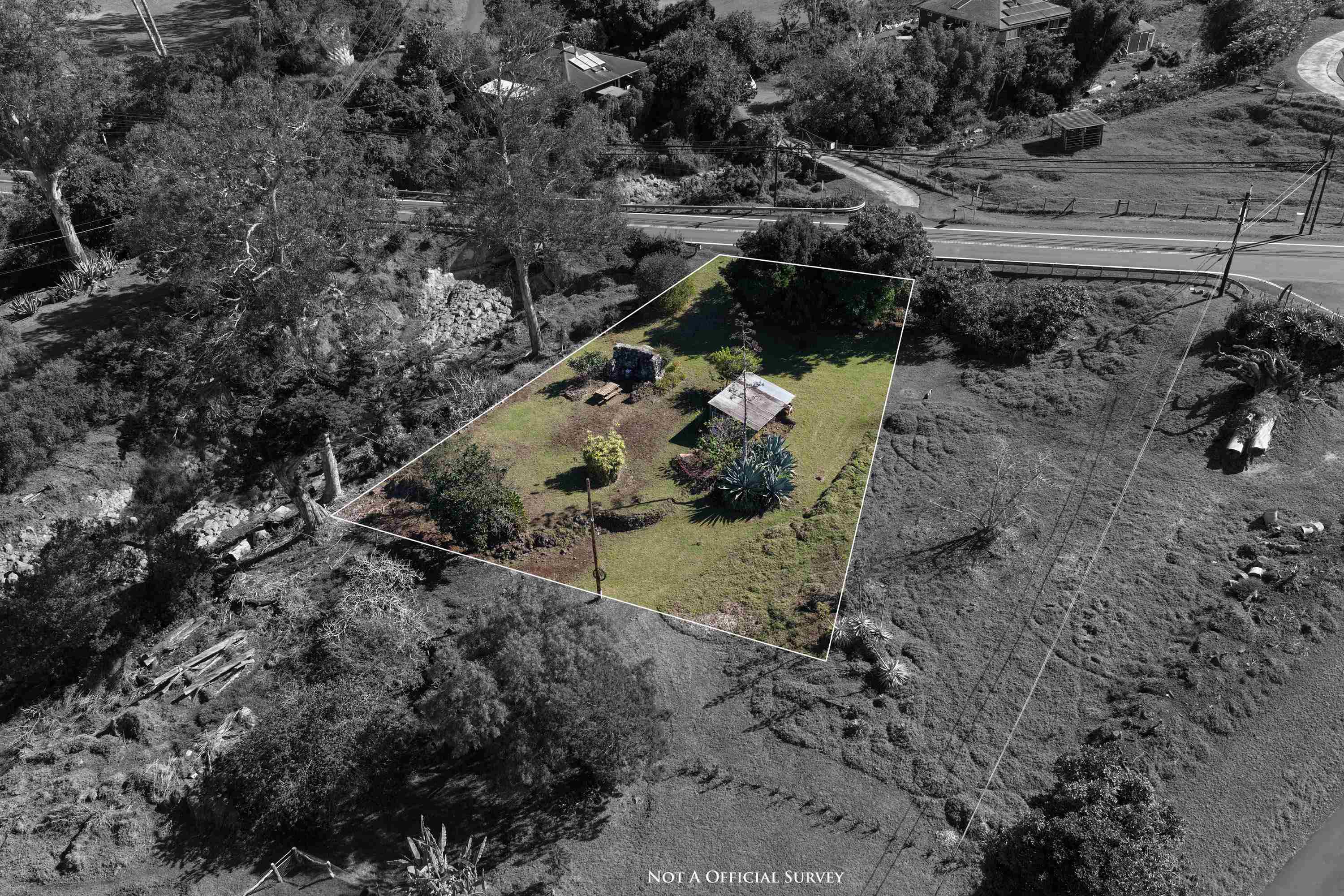 1575 Kamehameiki Rd Property Photo 2