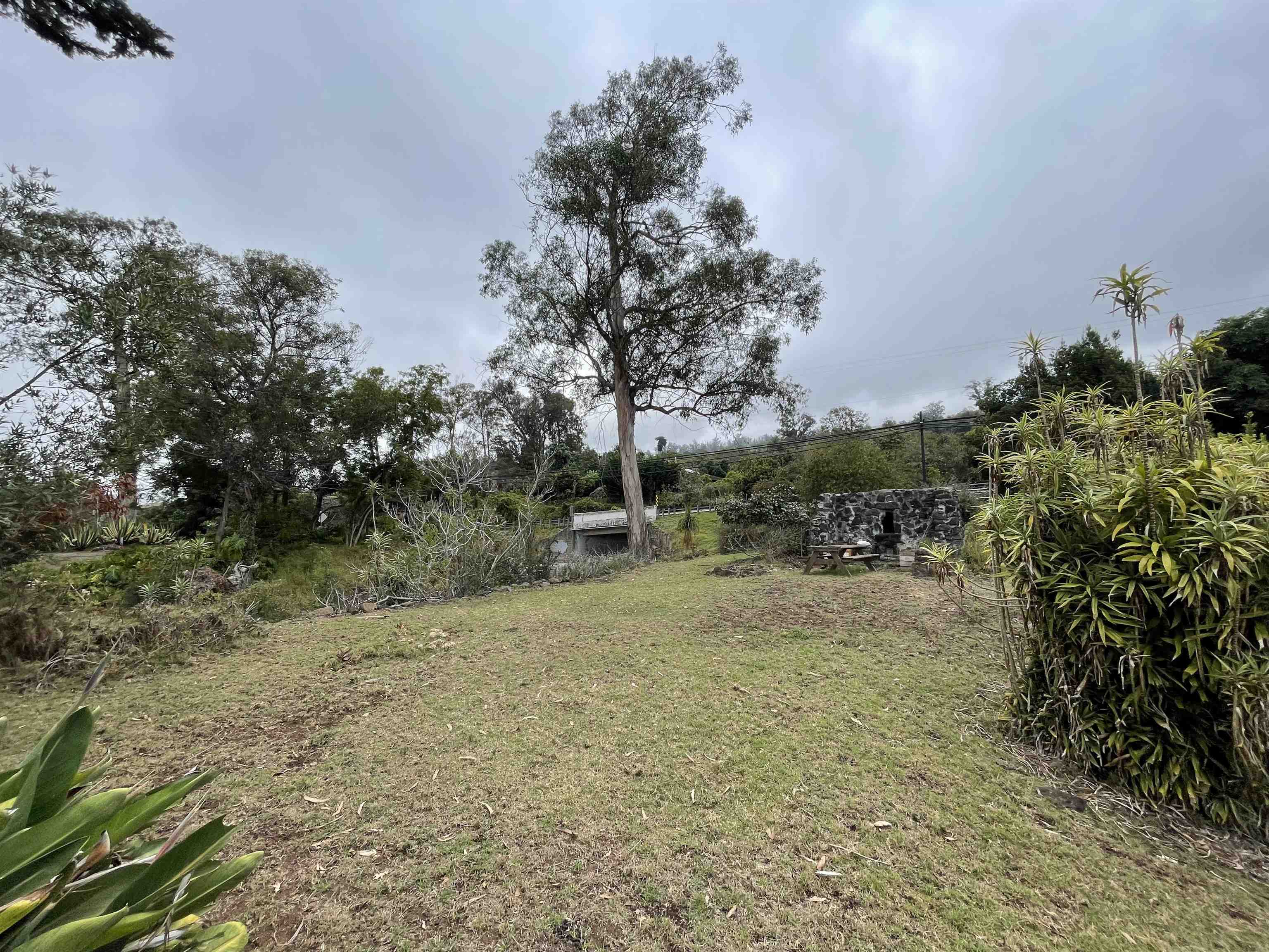 1575 Kamehameiki Rd Property Photo 6