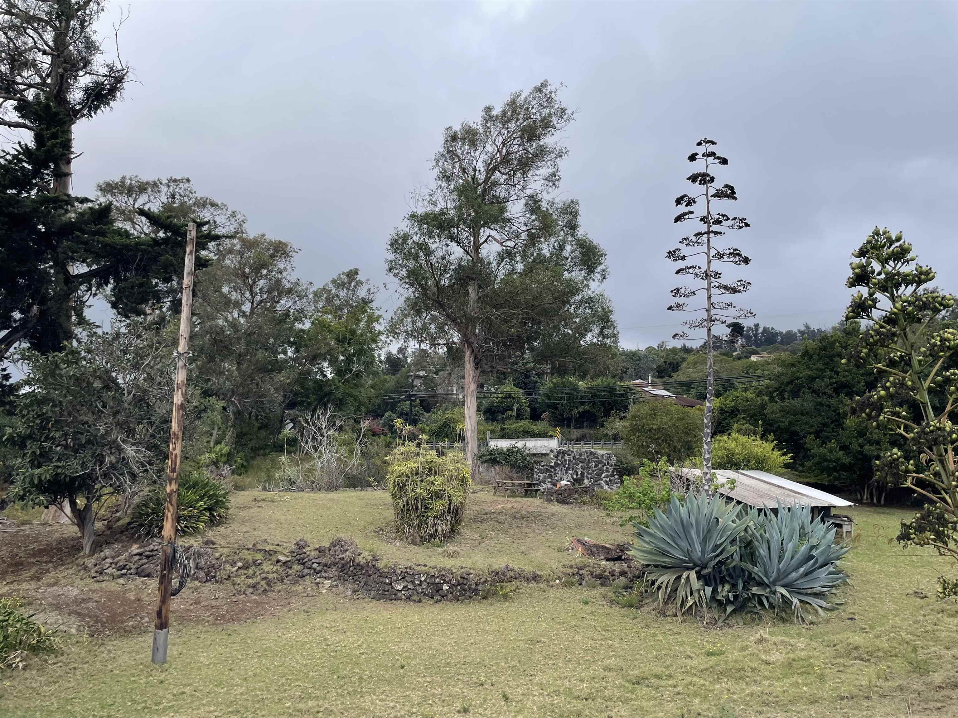 1575 Kamehameiki Rd Property Photo 7