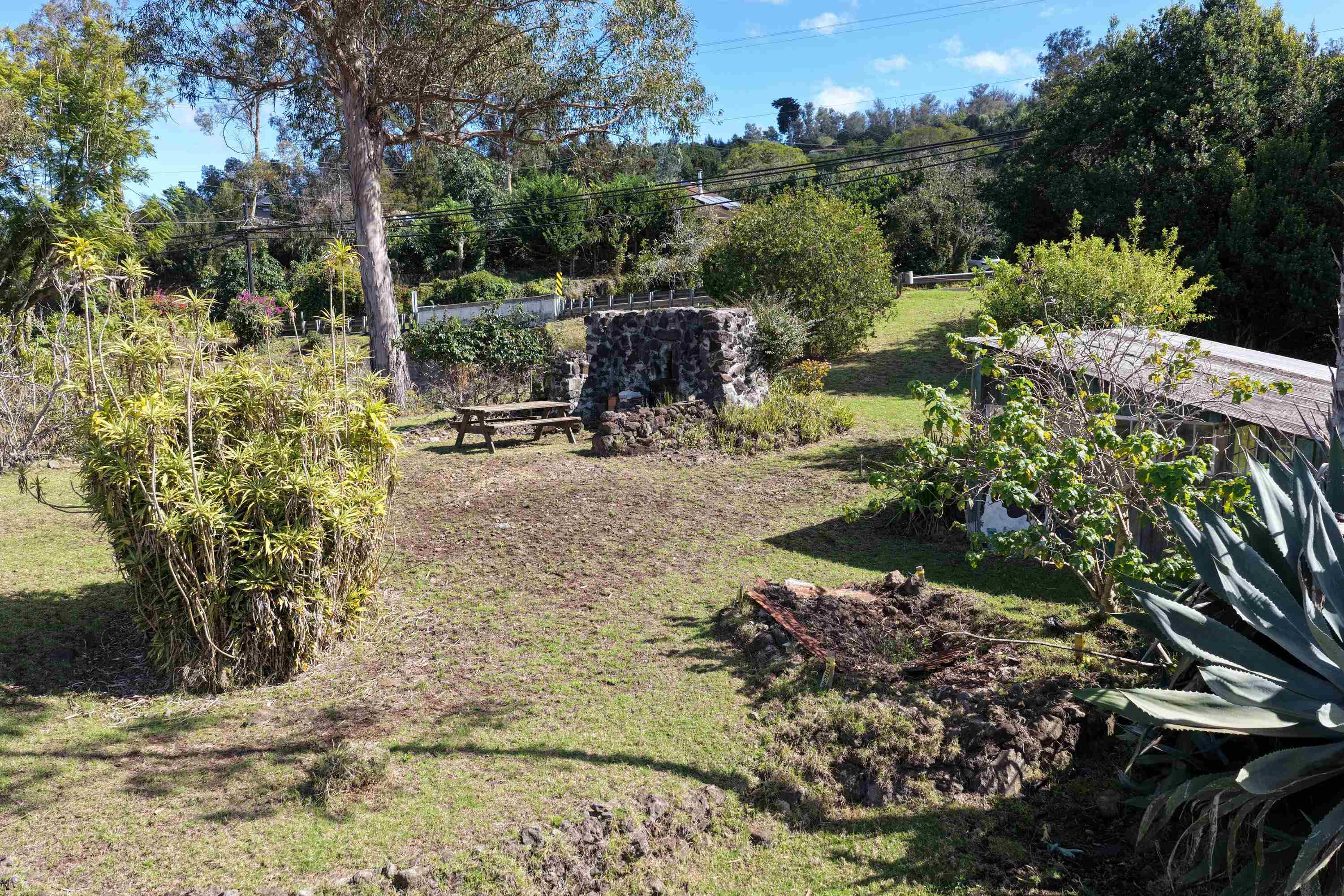 1575 Kamehameiki Rd Property Photo 11