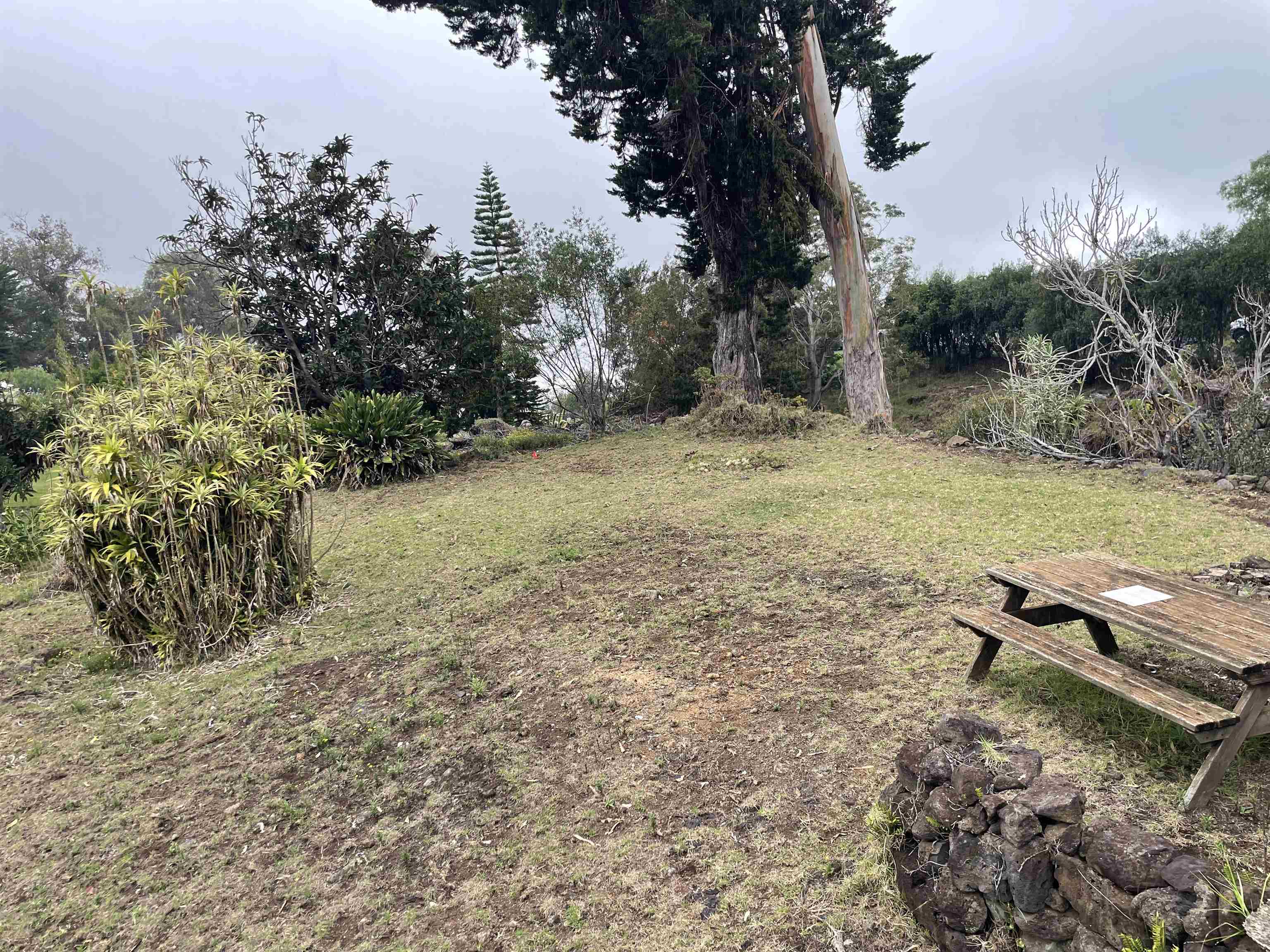 1575 Kamehameiki Rd Property Photo 16
