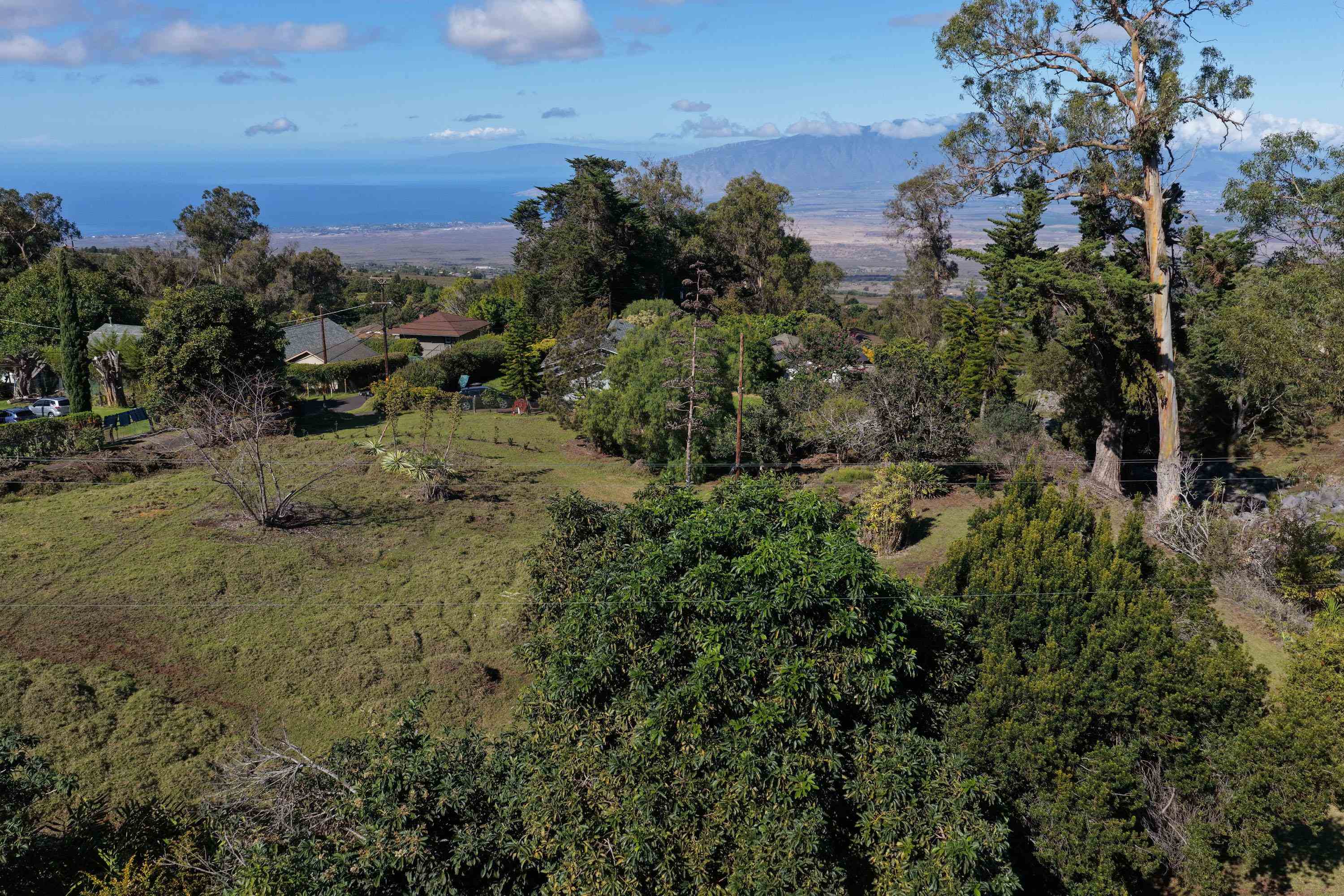 1575 Kamehameiki Rd Property Photo 28