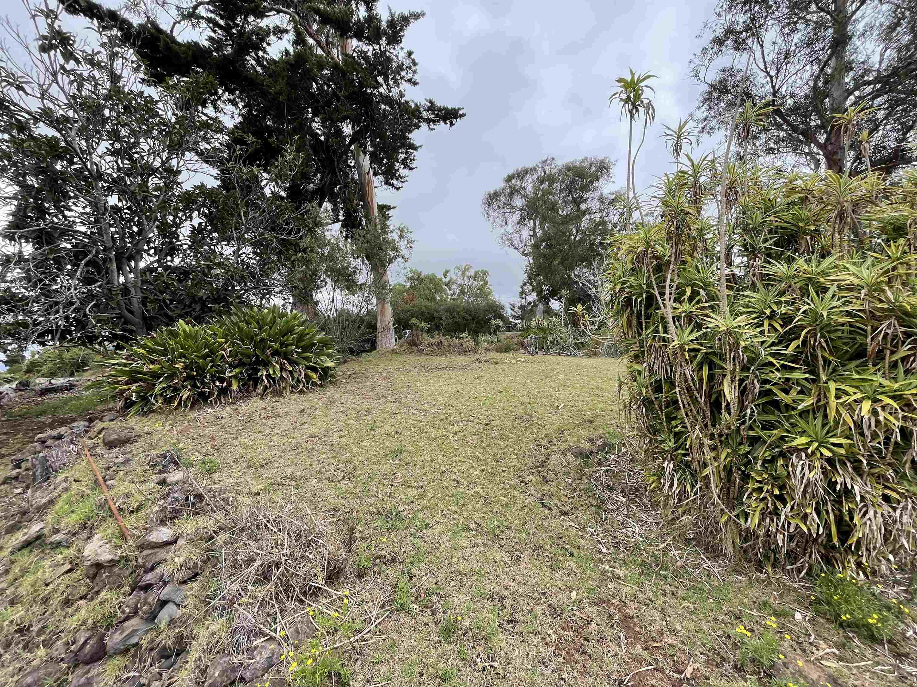 1575 Kamehameiki Rd Property Photo 30