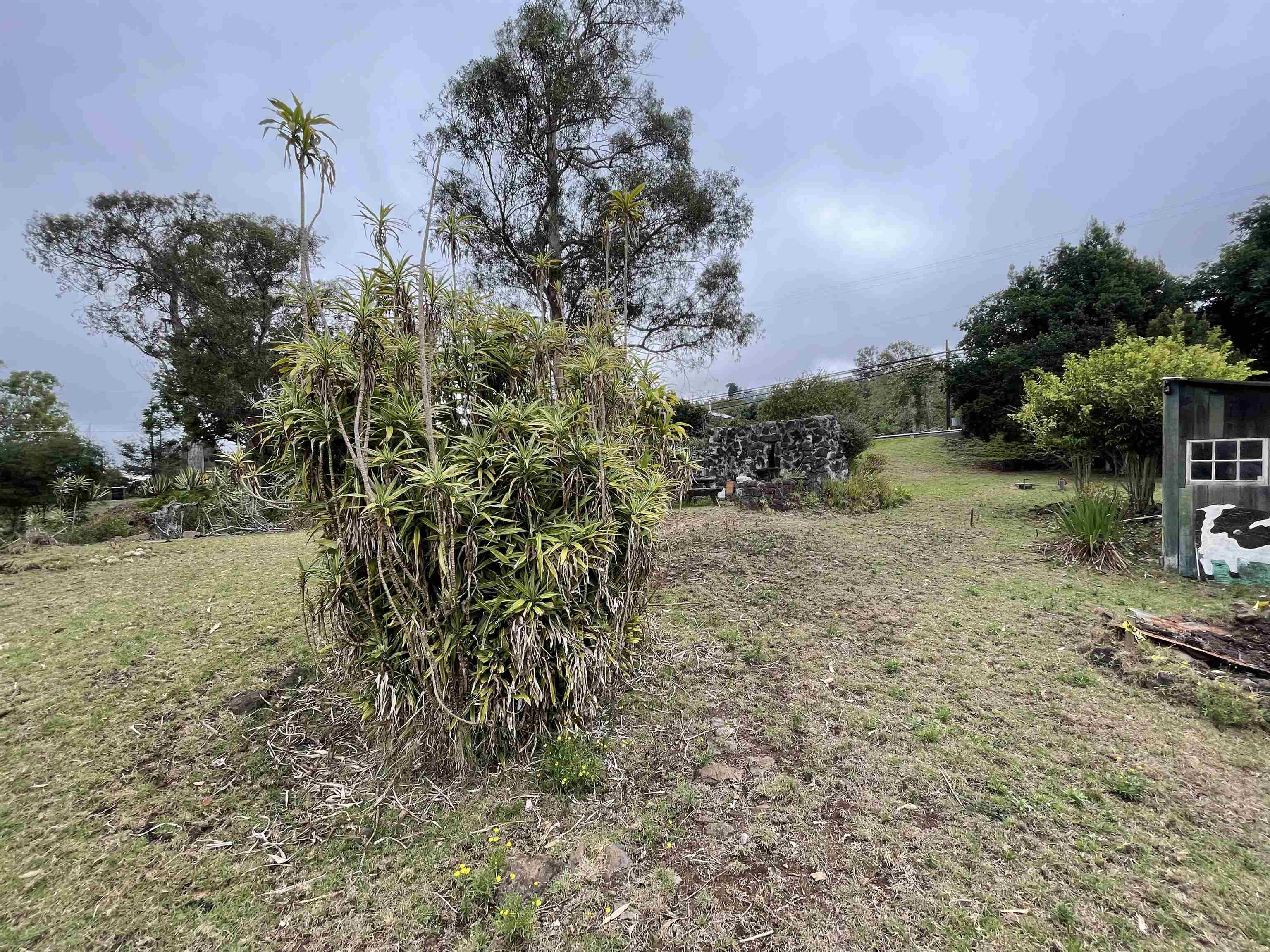 1575 Kamehameiki Rd Property Photo 31