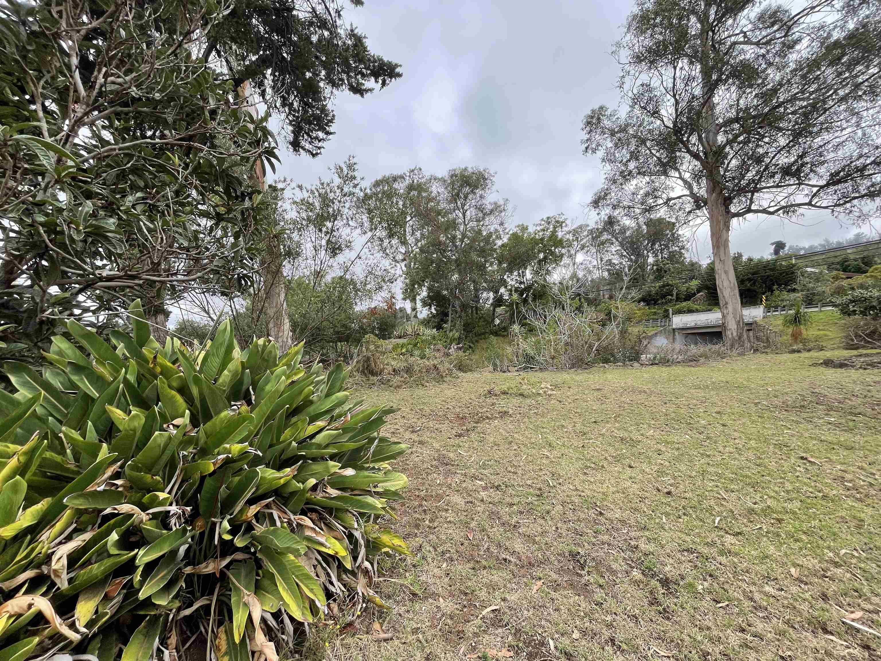 1575 Kamehameiki Rd Property Photo 34
