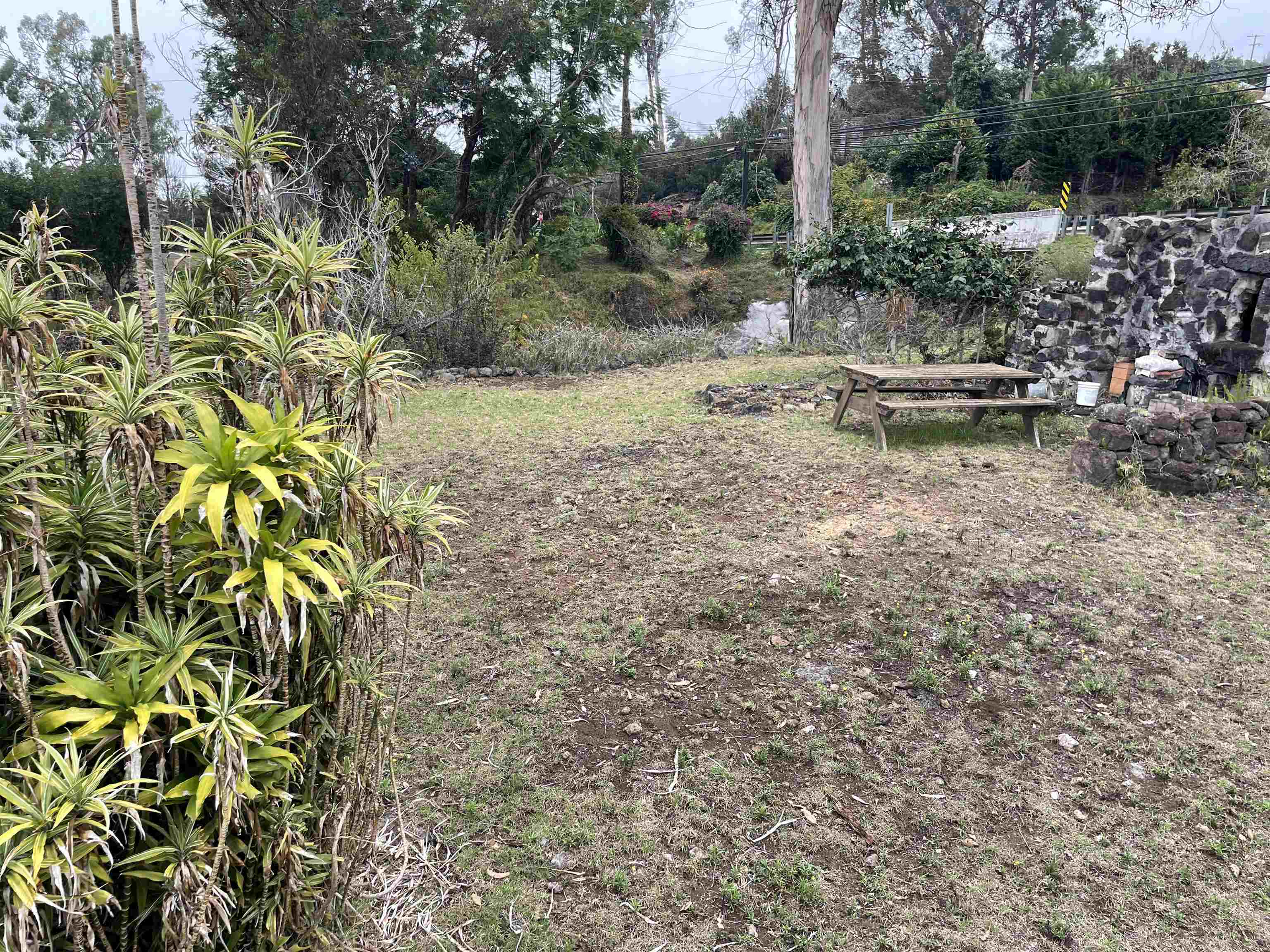 1575 Kamehameiki Rd Property Photo 35