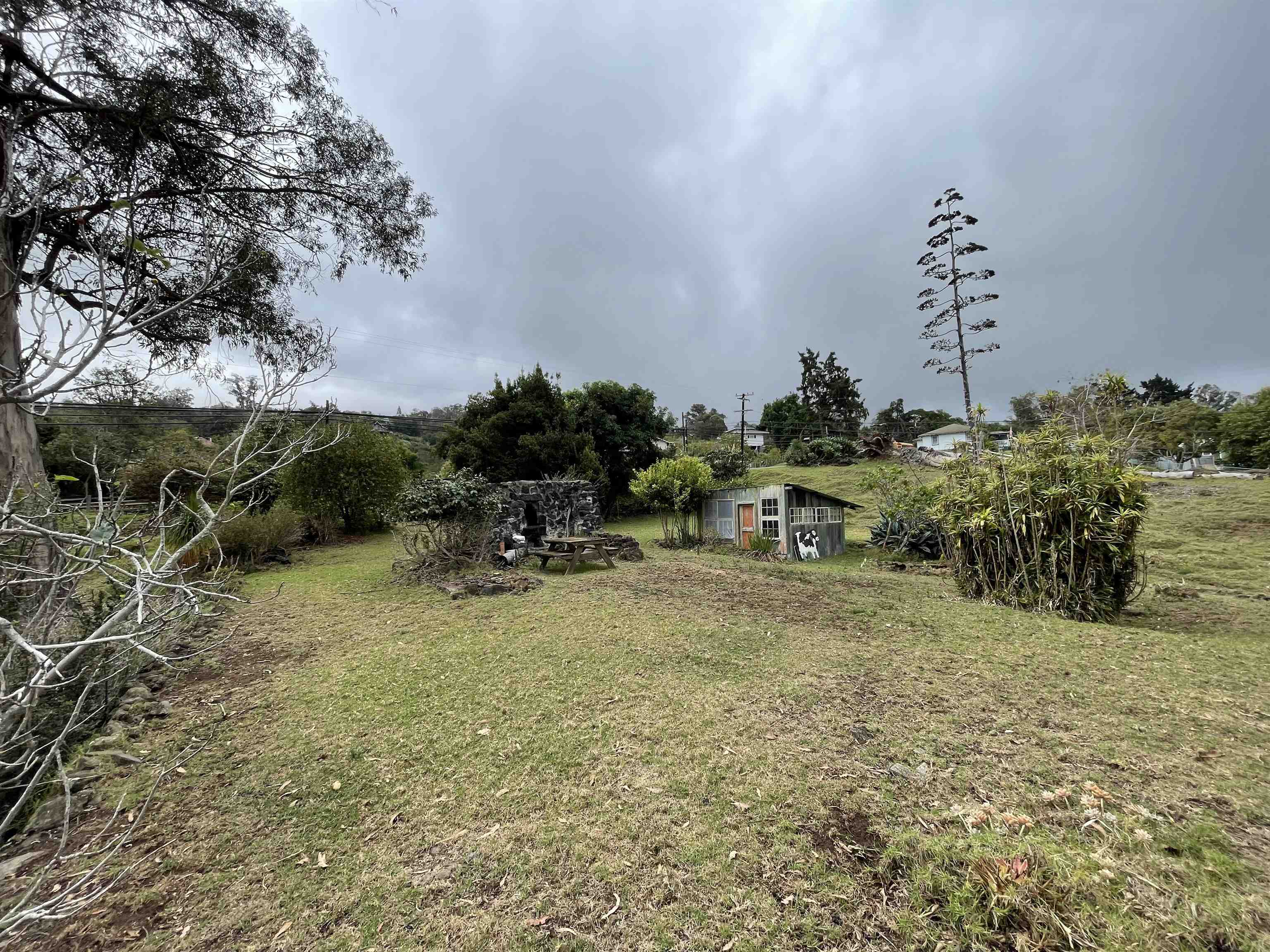1575 Kamehameiki Rd Property Photo 4